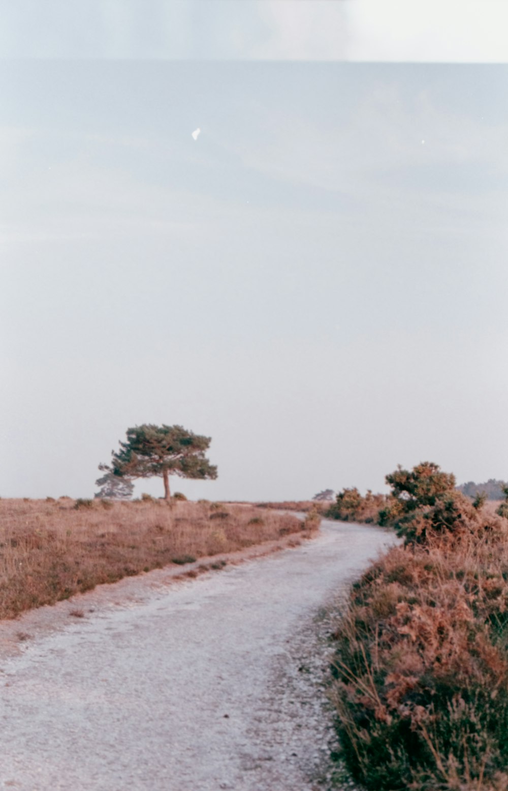 a dirt road in the middle of a field