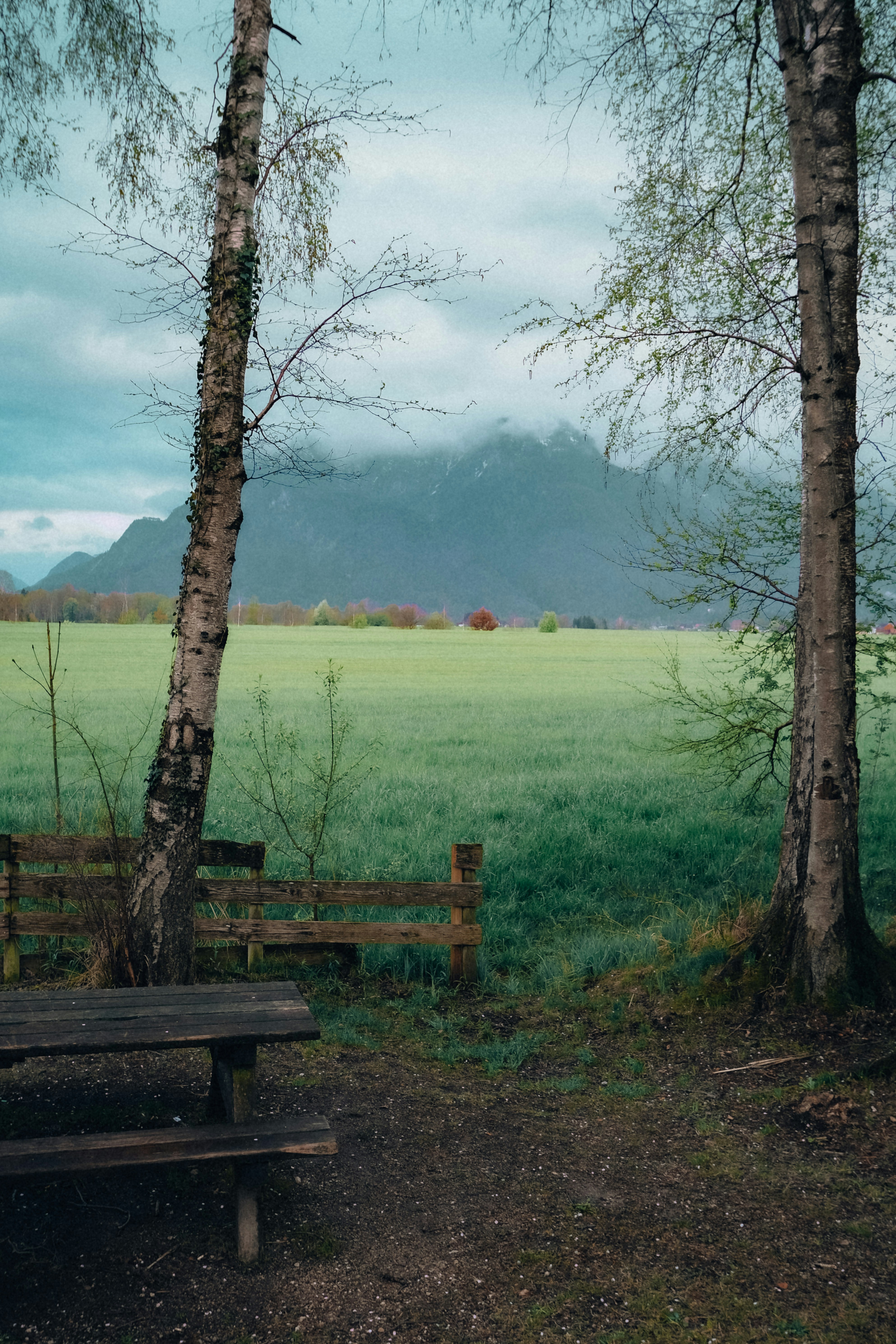 Landscape photograph of a green meadow framed by two birch trees and a wooden bench. A wooden fence runs along the foreground while distant misty mountains rise under a cloudy sky.