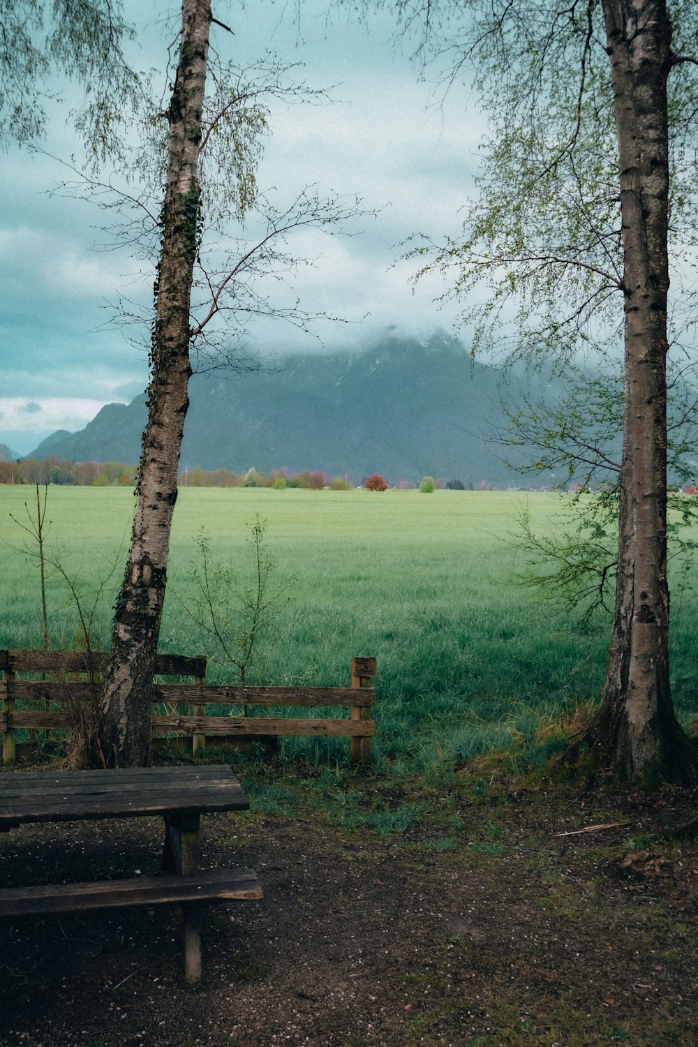 eine Holzbank inmitten einer saftig grünen Wiese