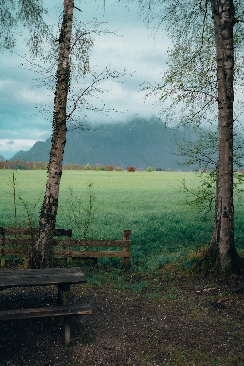 a wooden bench sitting in the middle of a lush green field