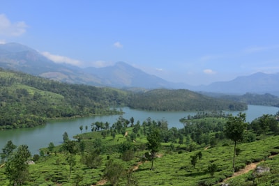 A scenic plot of fertile land near Coimbatore with lush greenery under the Tamil Nadu sun.