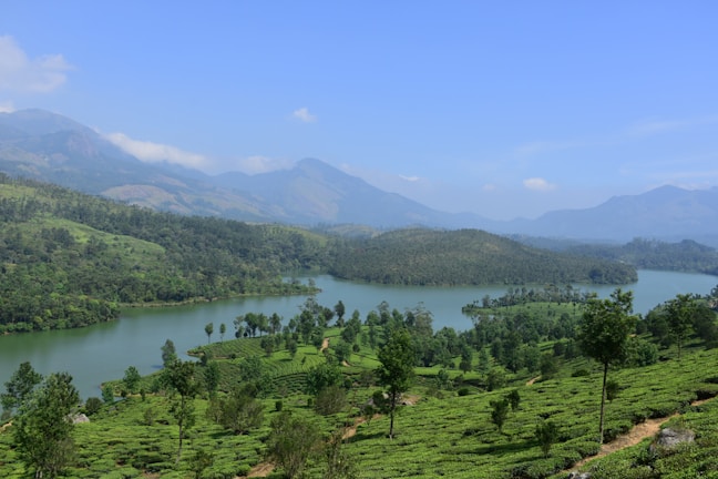 A scenic landscape featuring a lush green tea plantation in the foreground, with a calm river winding through the landscape. Dense forests blanket the rolling hills and tall mountains rise in the distance under a clear blue sky.