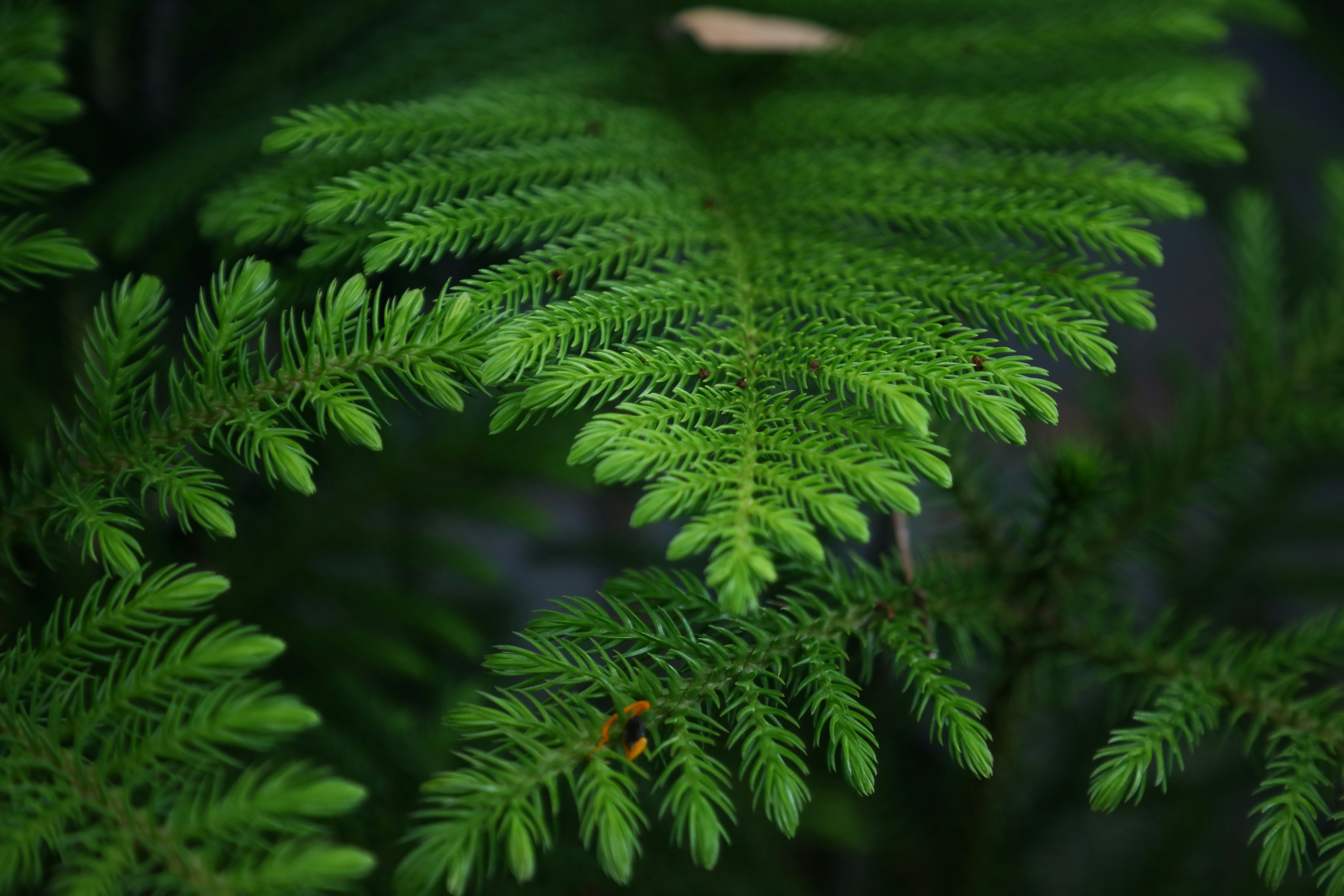 Photo by zachariahjr97