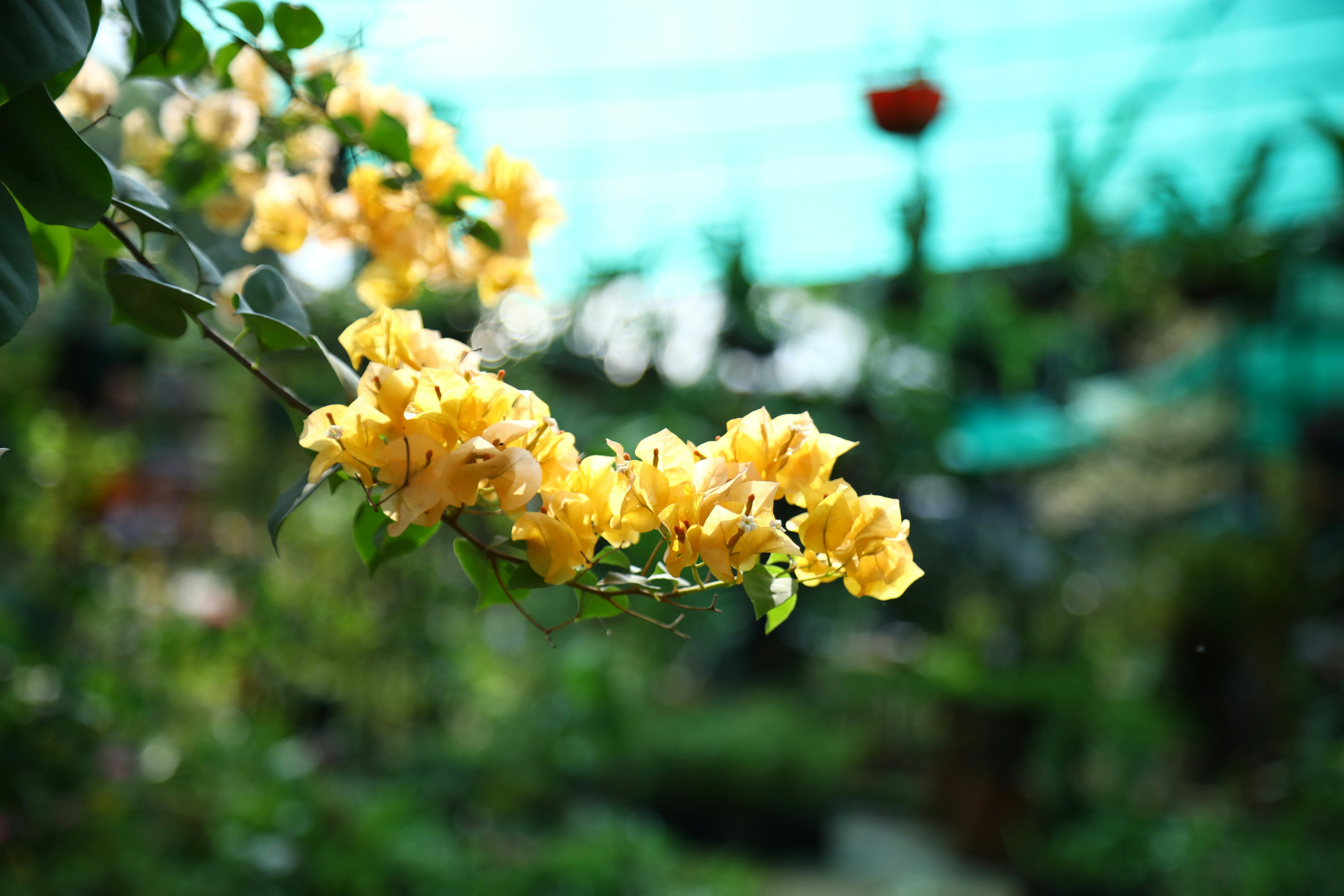 Photo by zachariahjr97