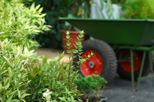 a green wheelbarrow with a red wheel in the middle of a garden