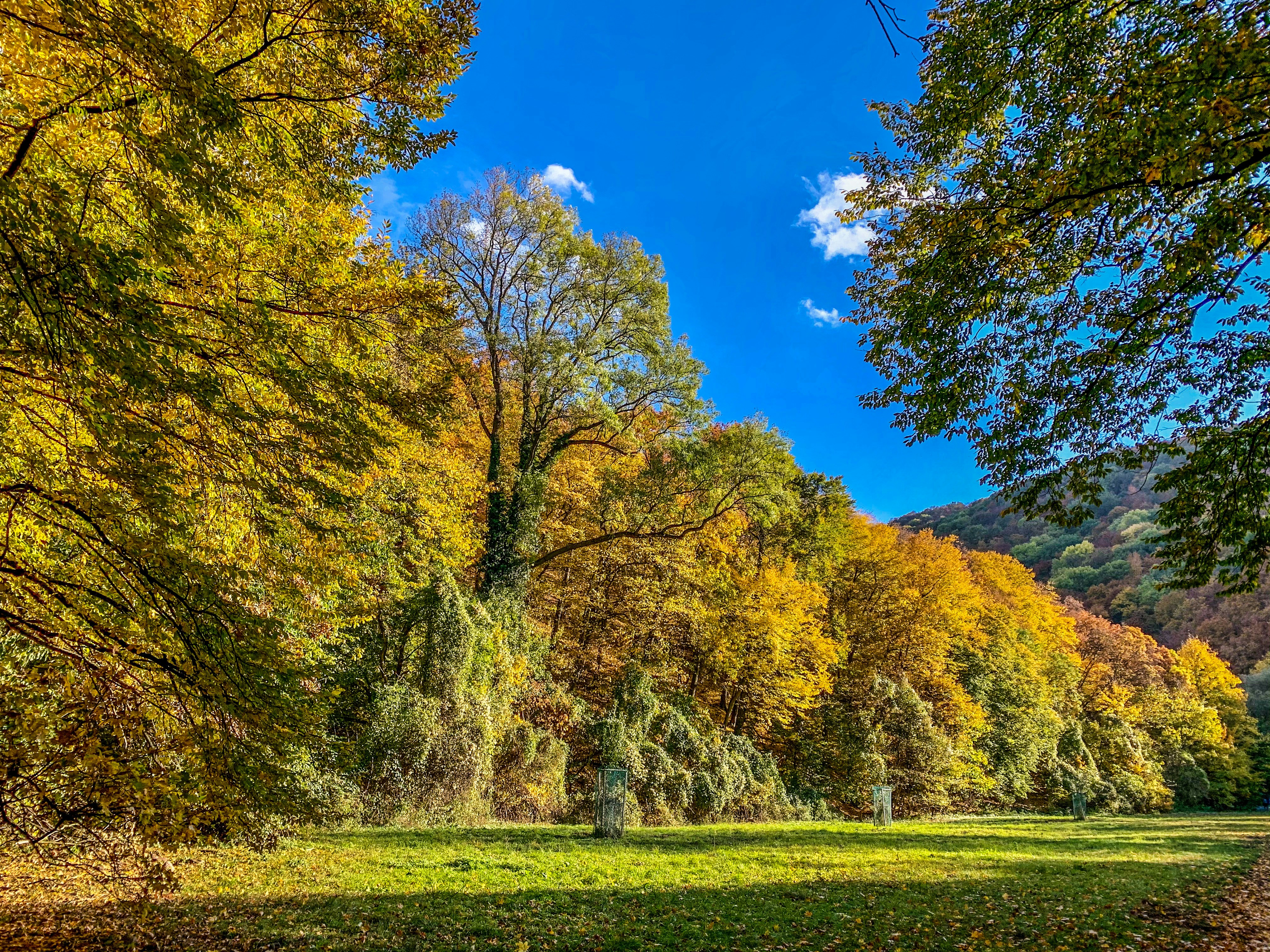 Photo by zoltanvardai