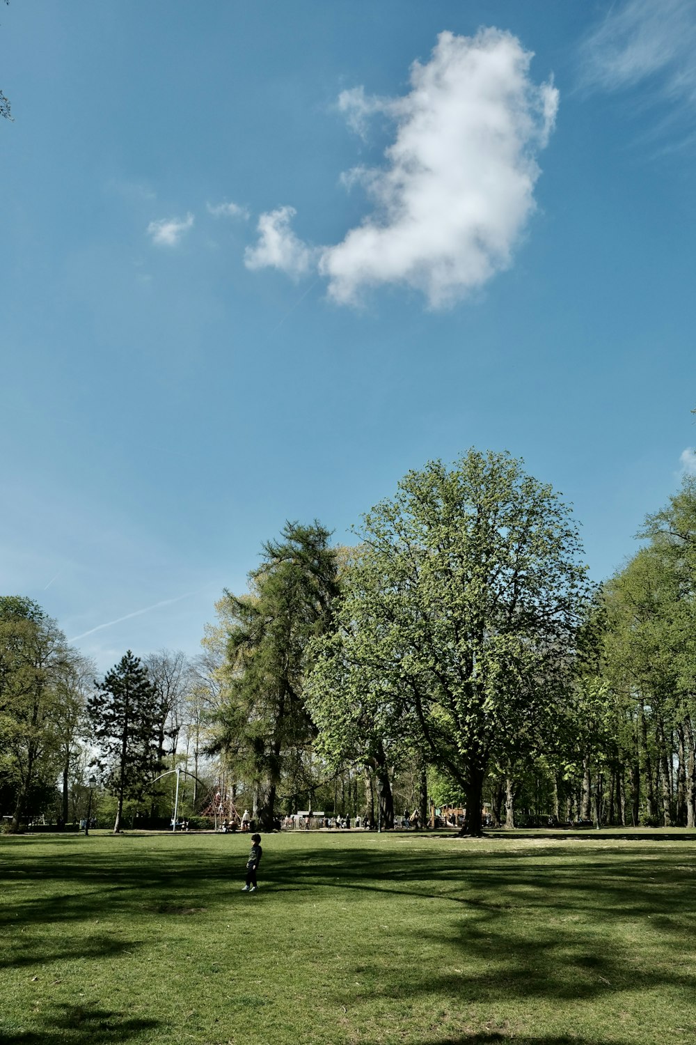 a person is flying a kite in a park