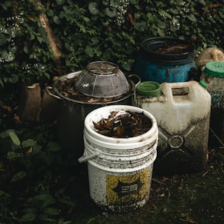 Compost tea brewing in buckets, ready to feed the garden plants.
