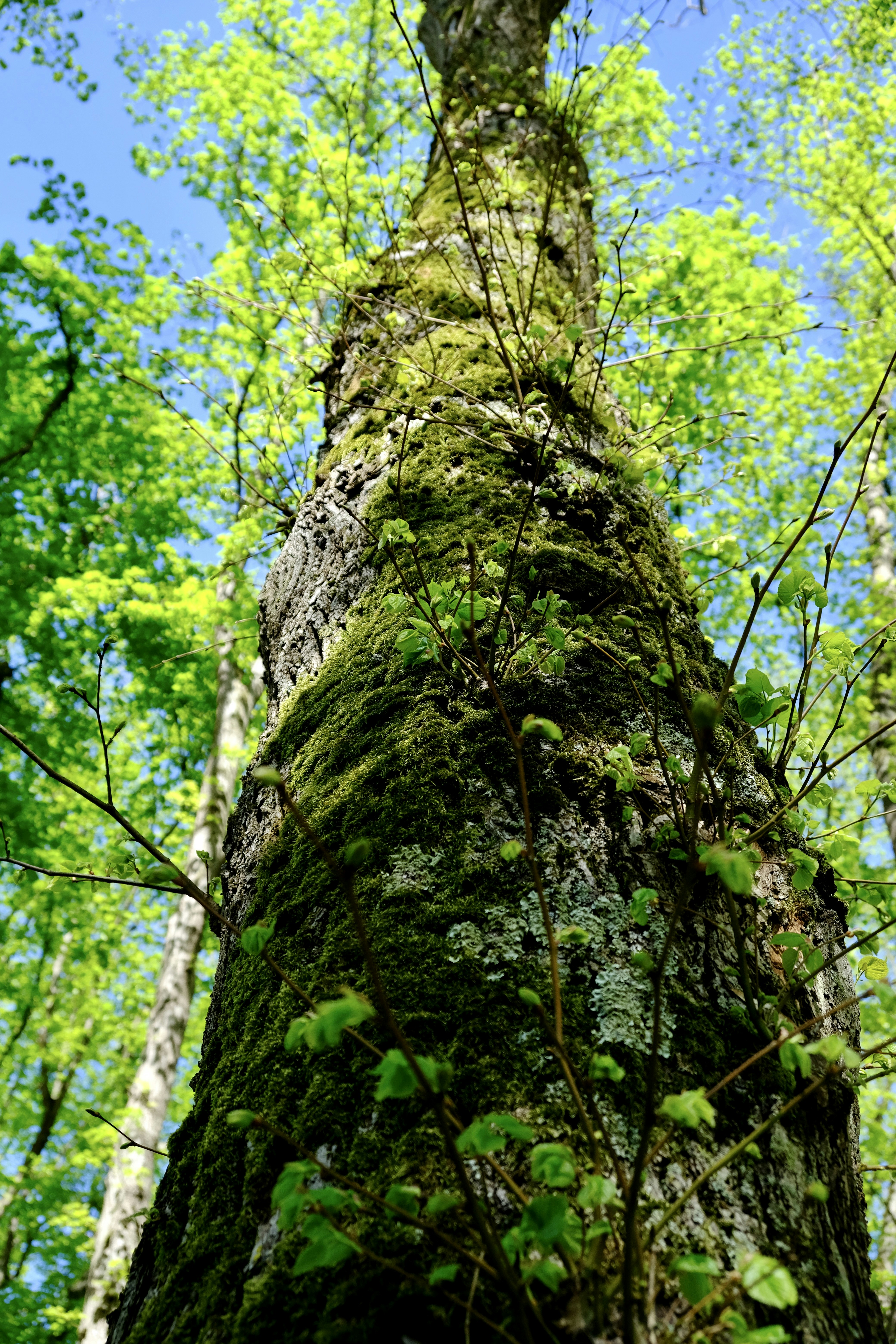 Photo by peter_heymans