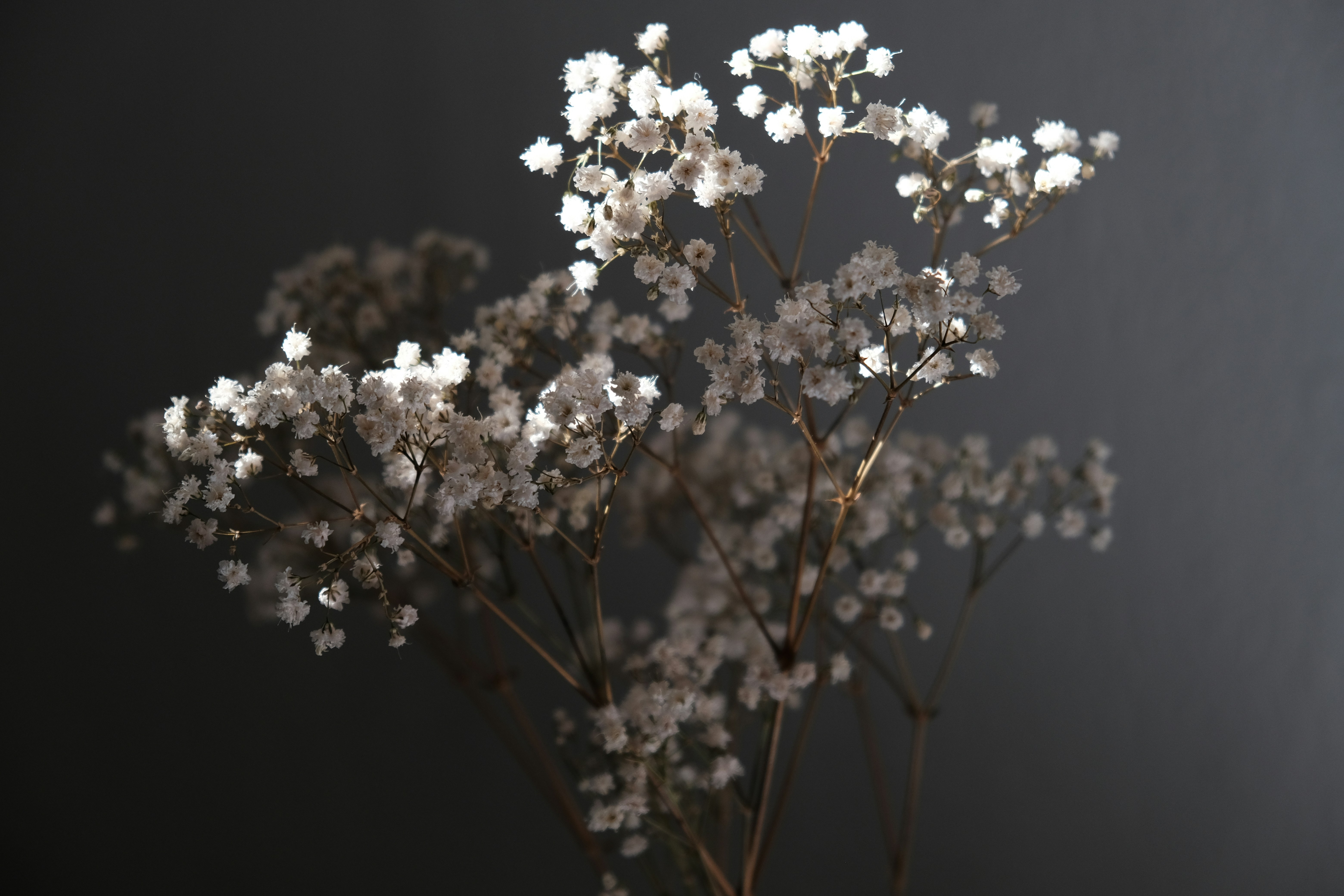 Photo by peter_heymans