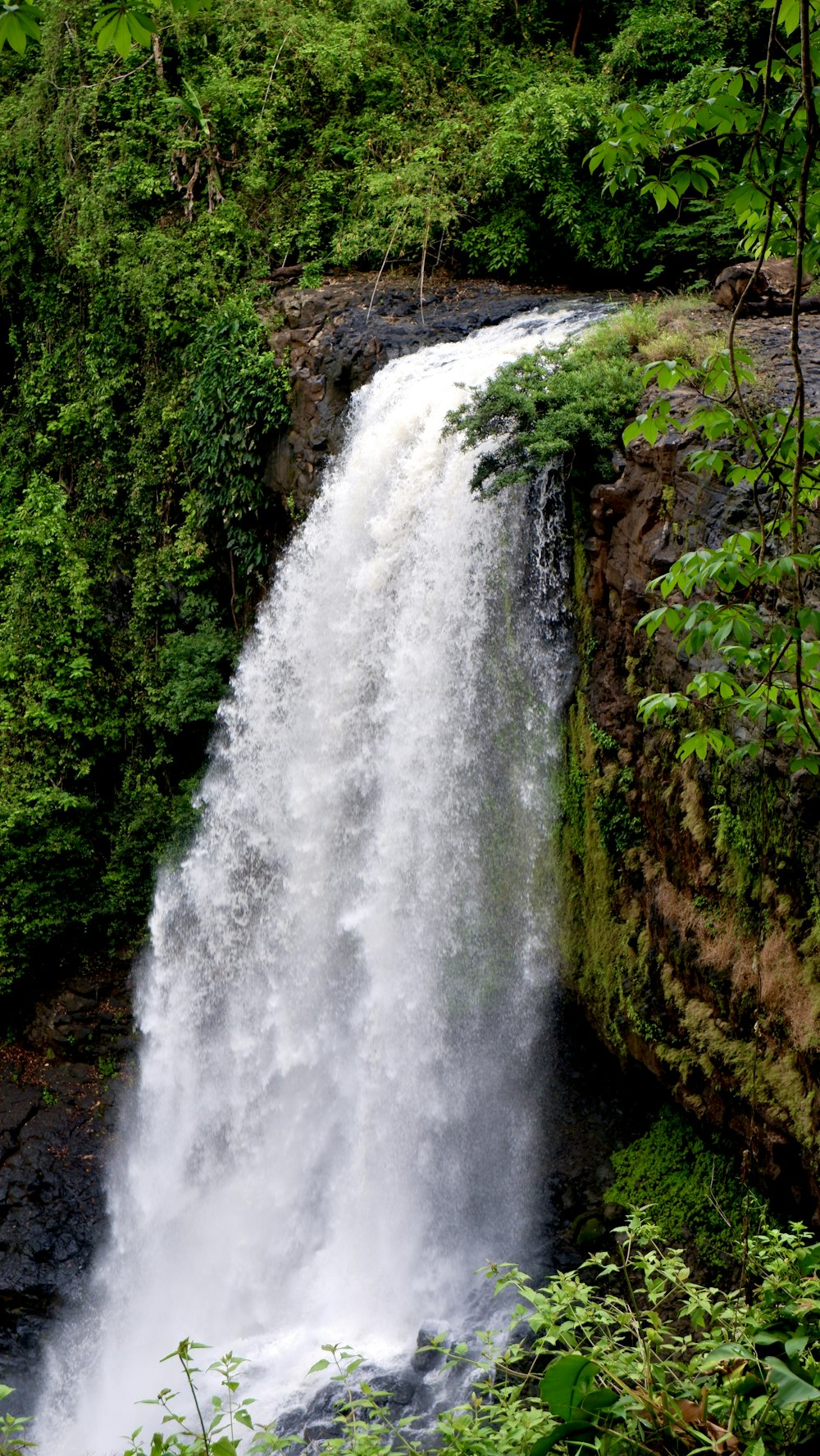 a large waterfall in the middle of a forest