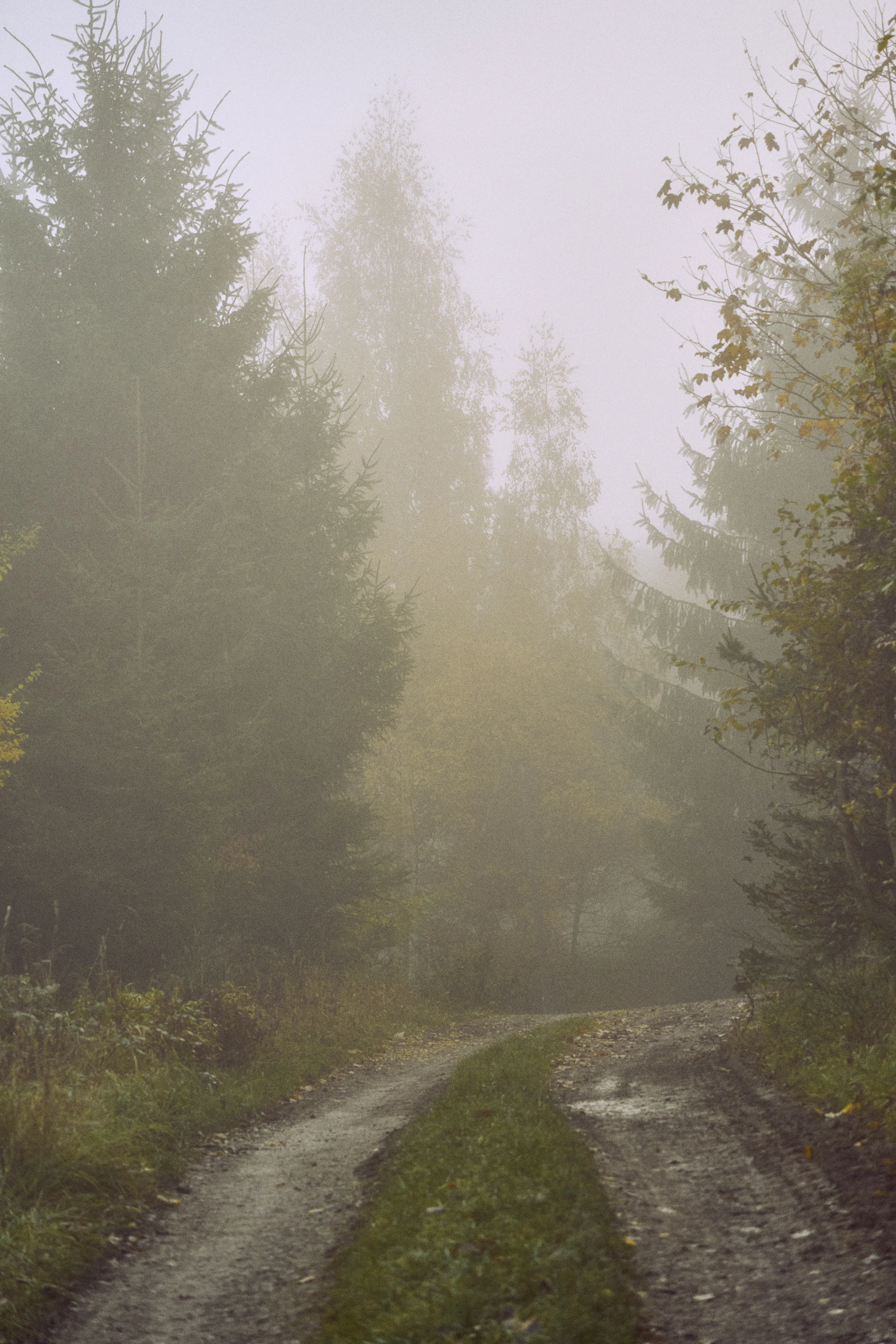 Figure 1 — A road that arrives nowhere in particular. Photograph, archival source.