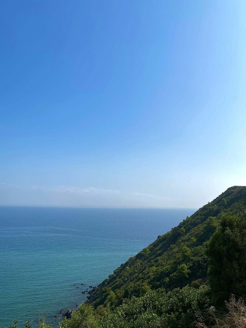 a view of the ocean from the top of a hill