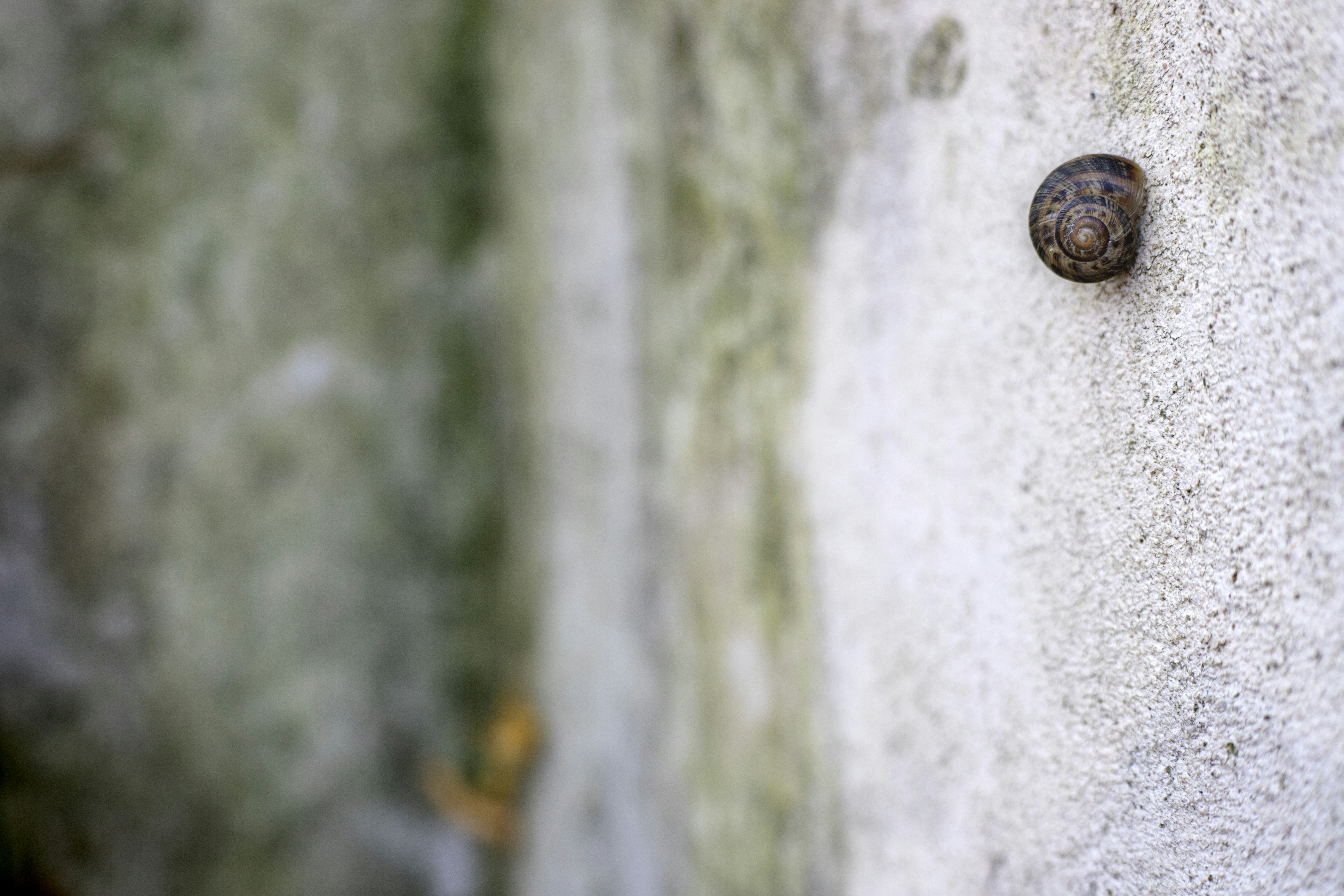 Photo by nahalkavand