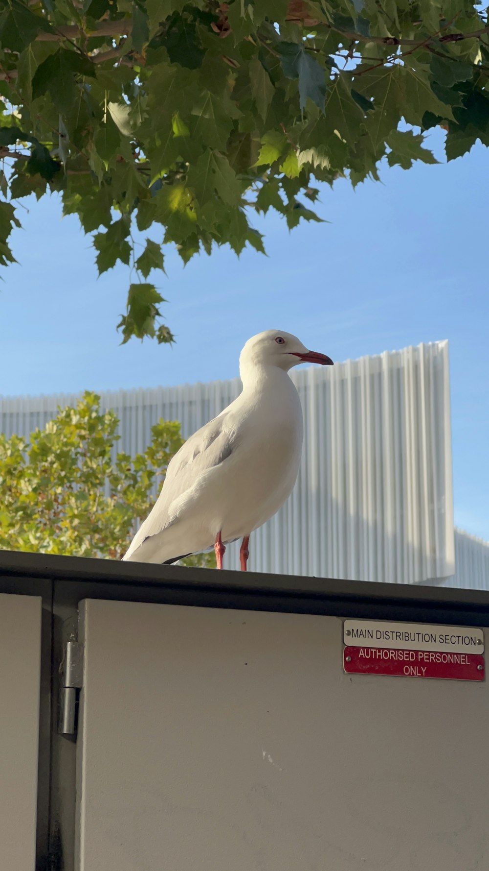 a seagull sitting on top of a building next to a tree