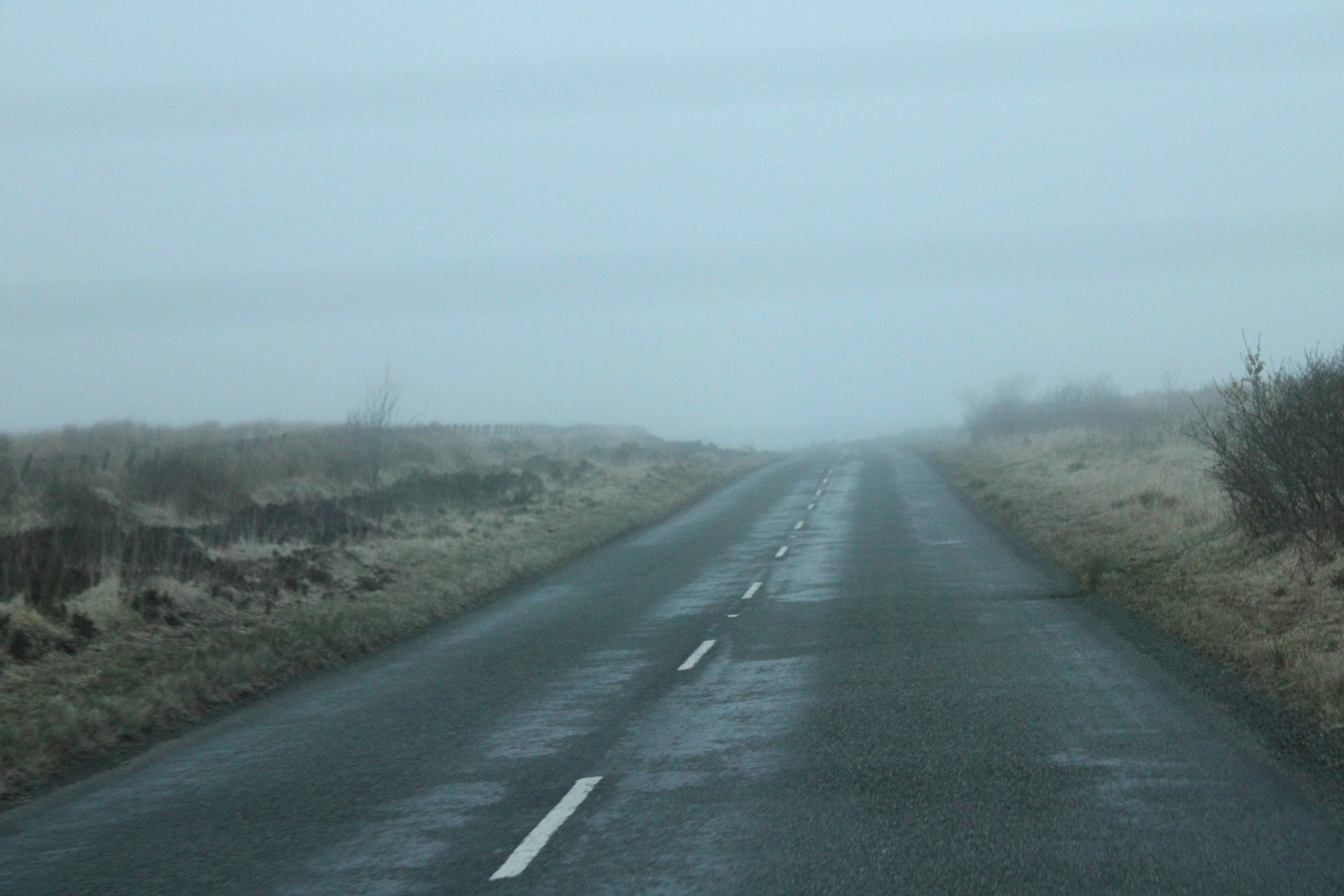 a foggy road in the middle of nowhere