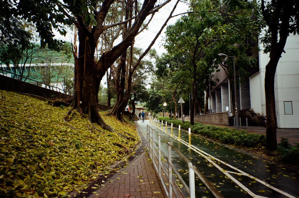 a street lined with trees and bushes next to a building