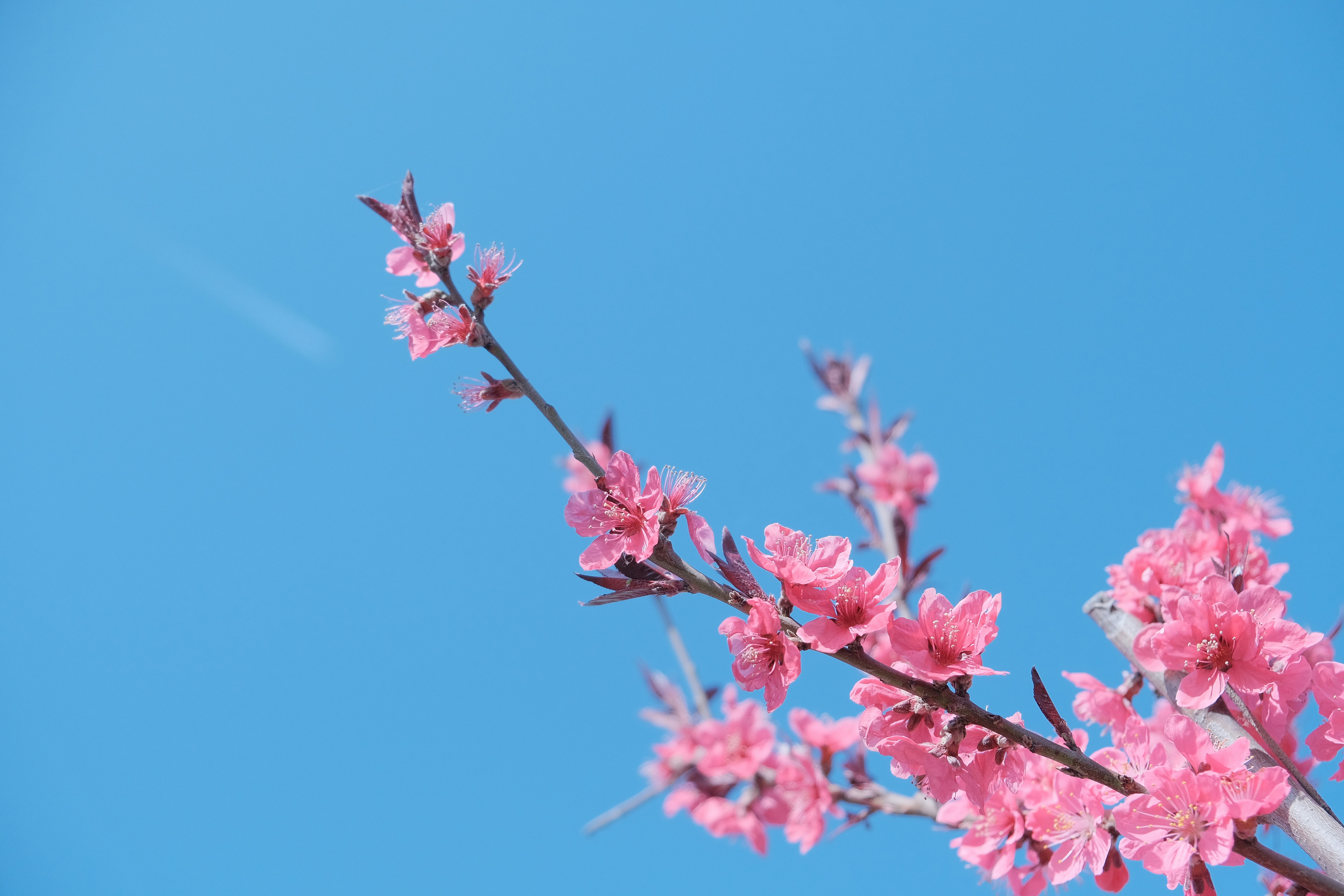 Photo by gaojonathan