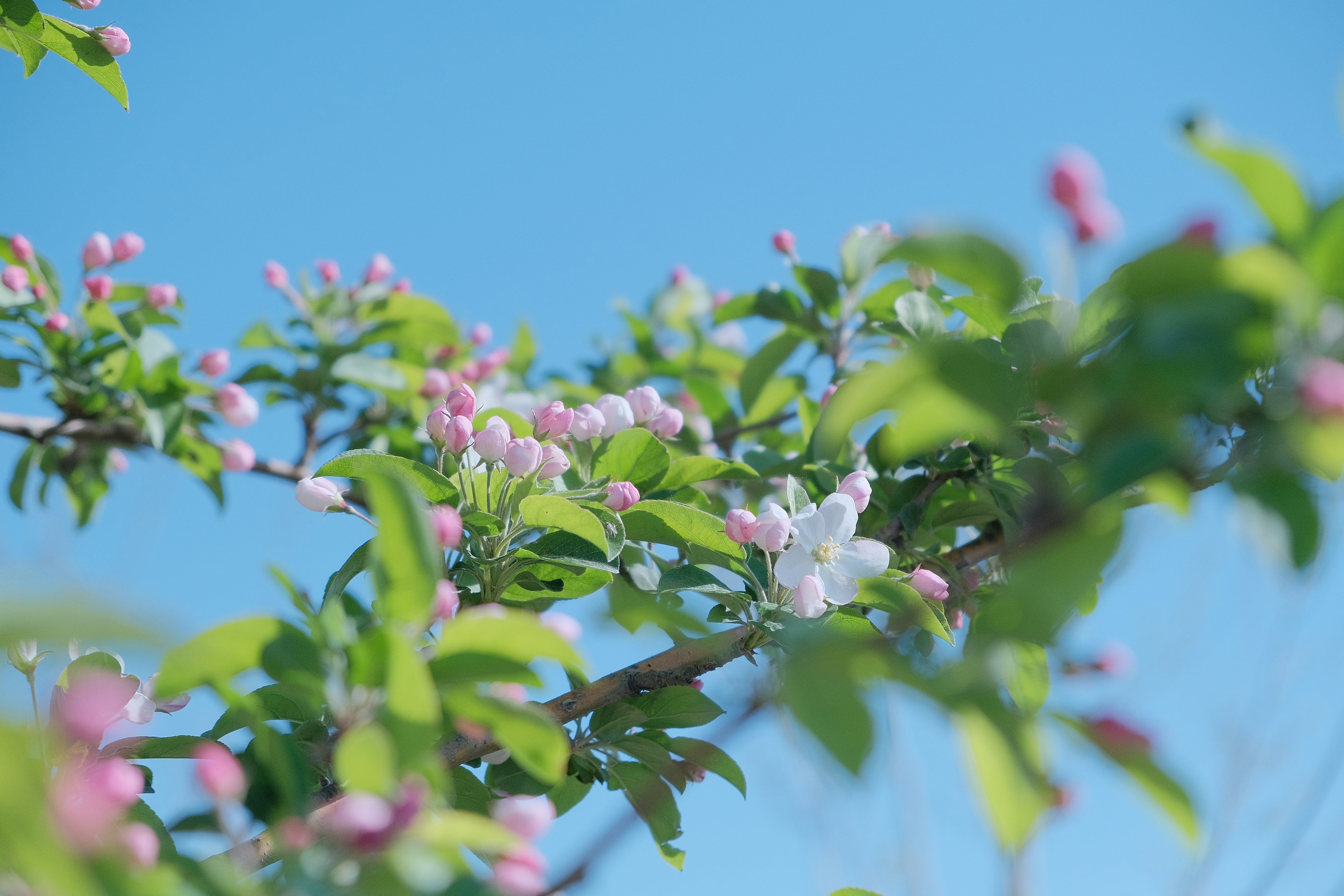 Photo by gaojonathan