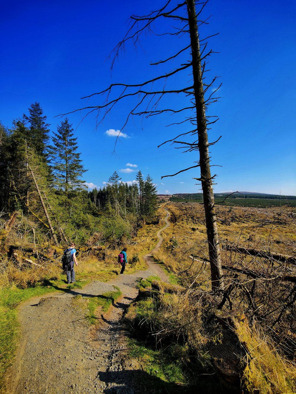 a couple of people walking down a dirt road