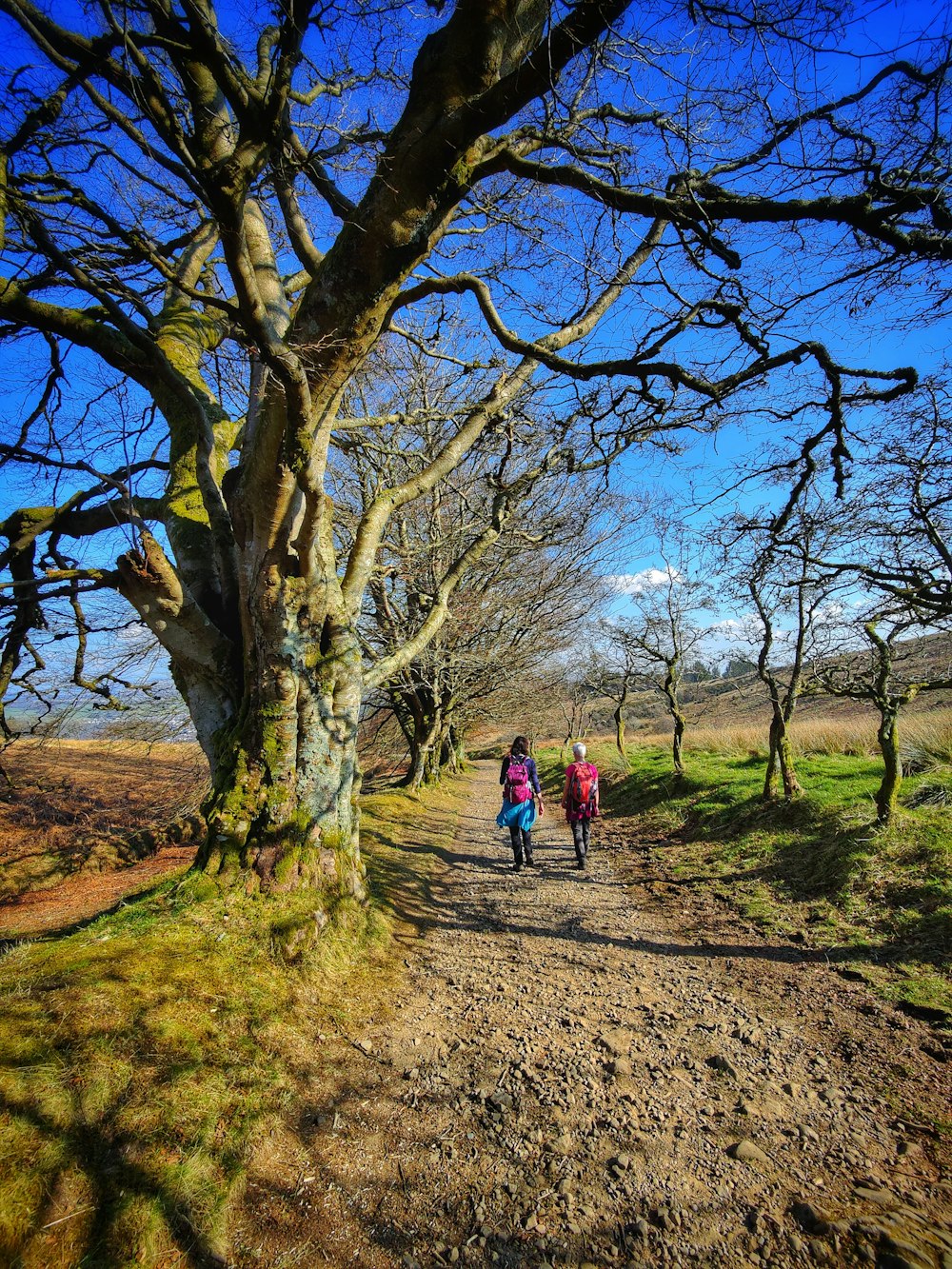 a couple of people walking down a dirt road