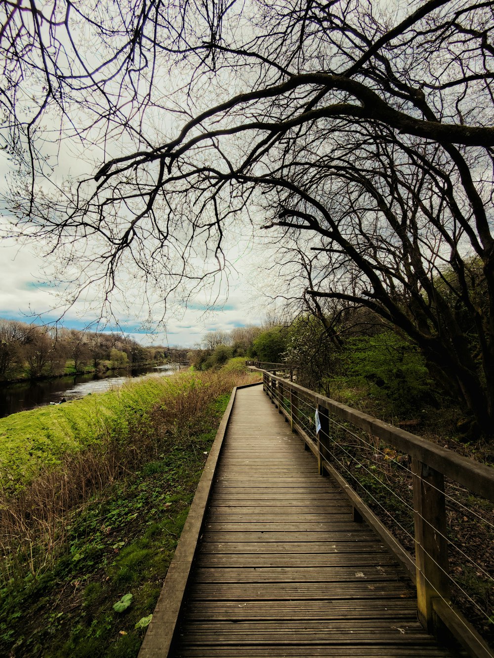 a wooden walkway next to a body of water