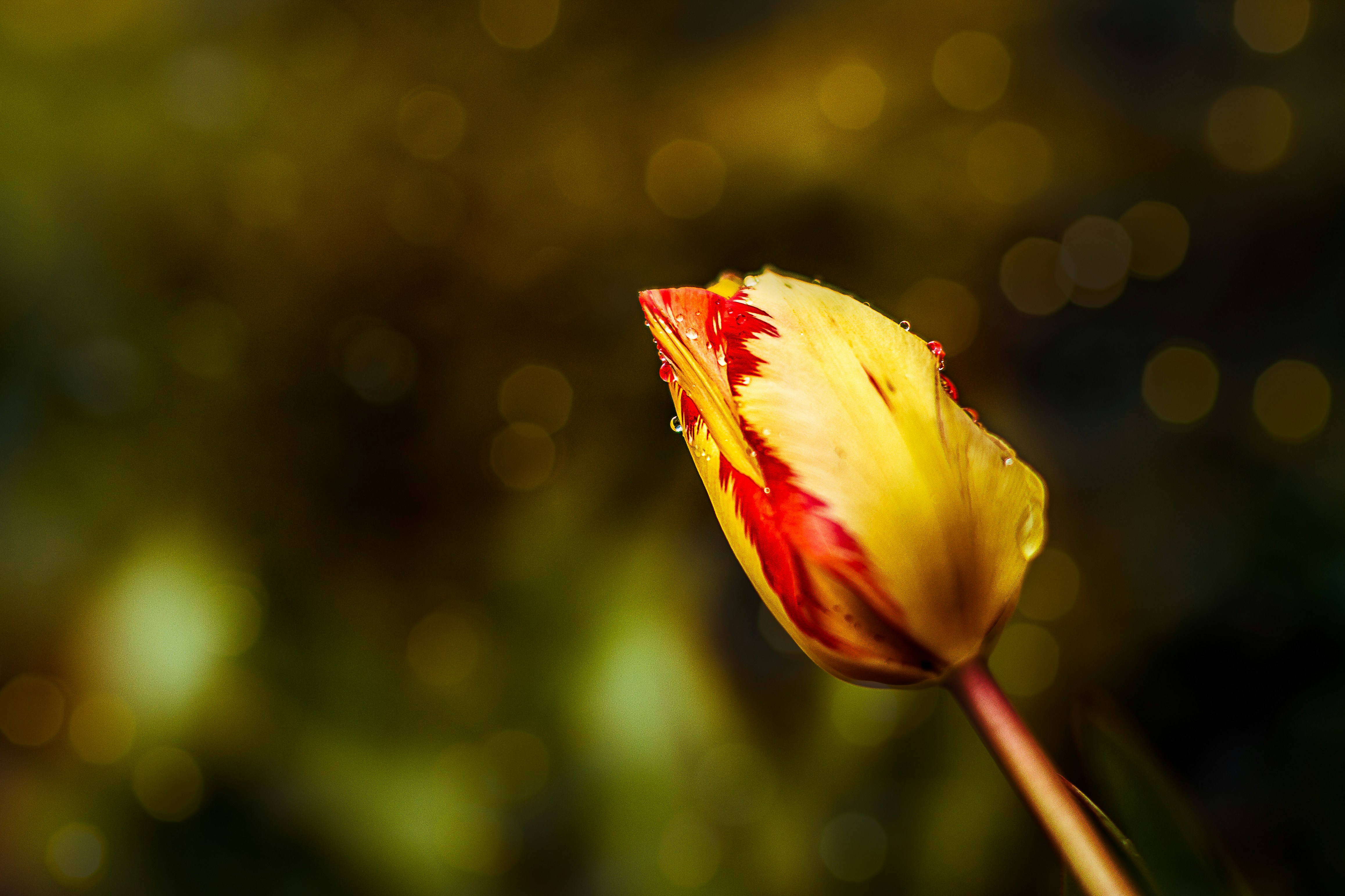 Photo by emmanuelphaeton