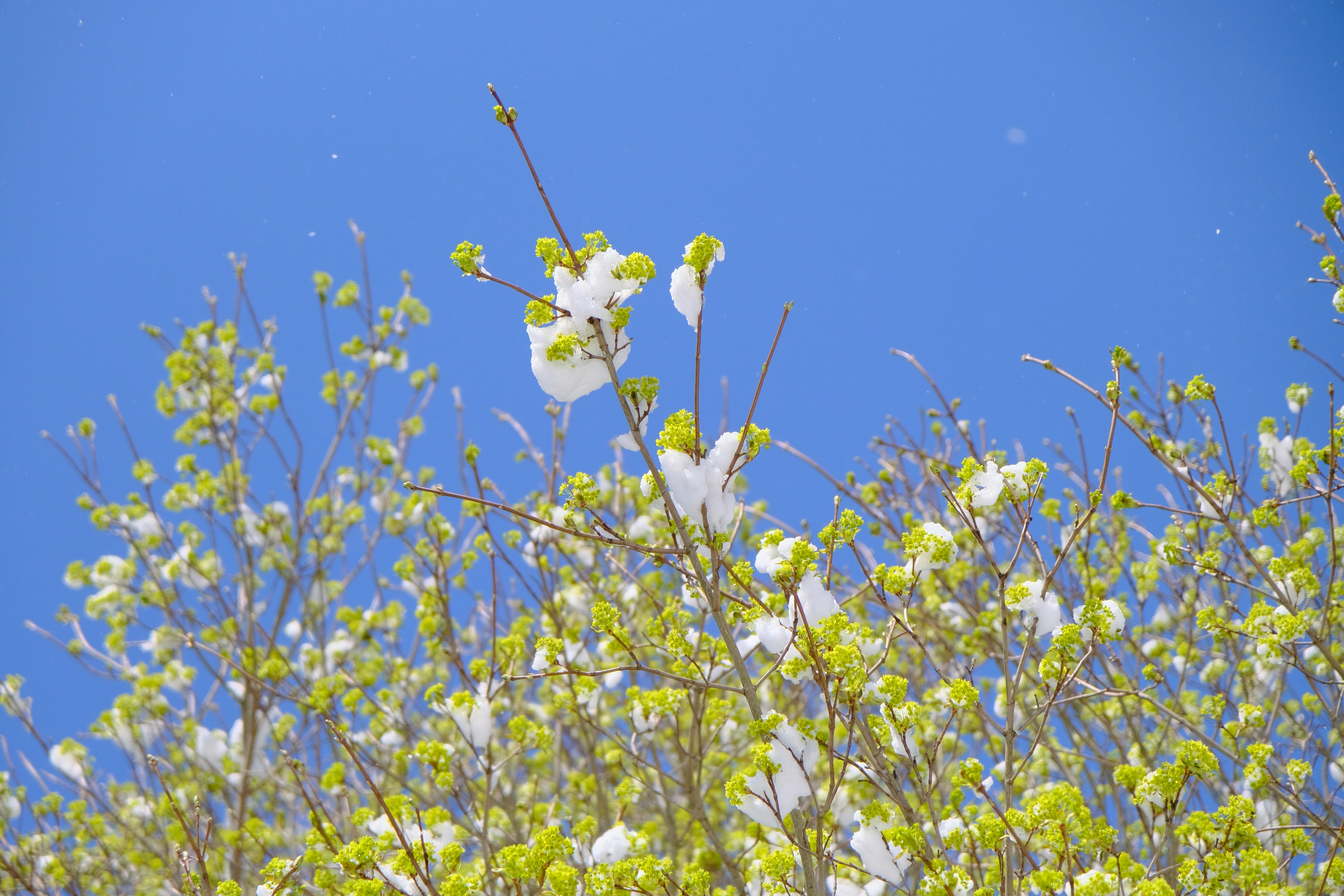 Photo by tassilogroeper