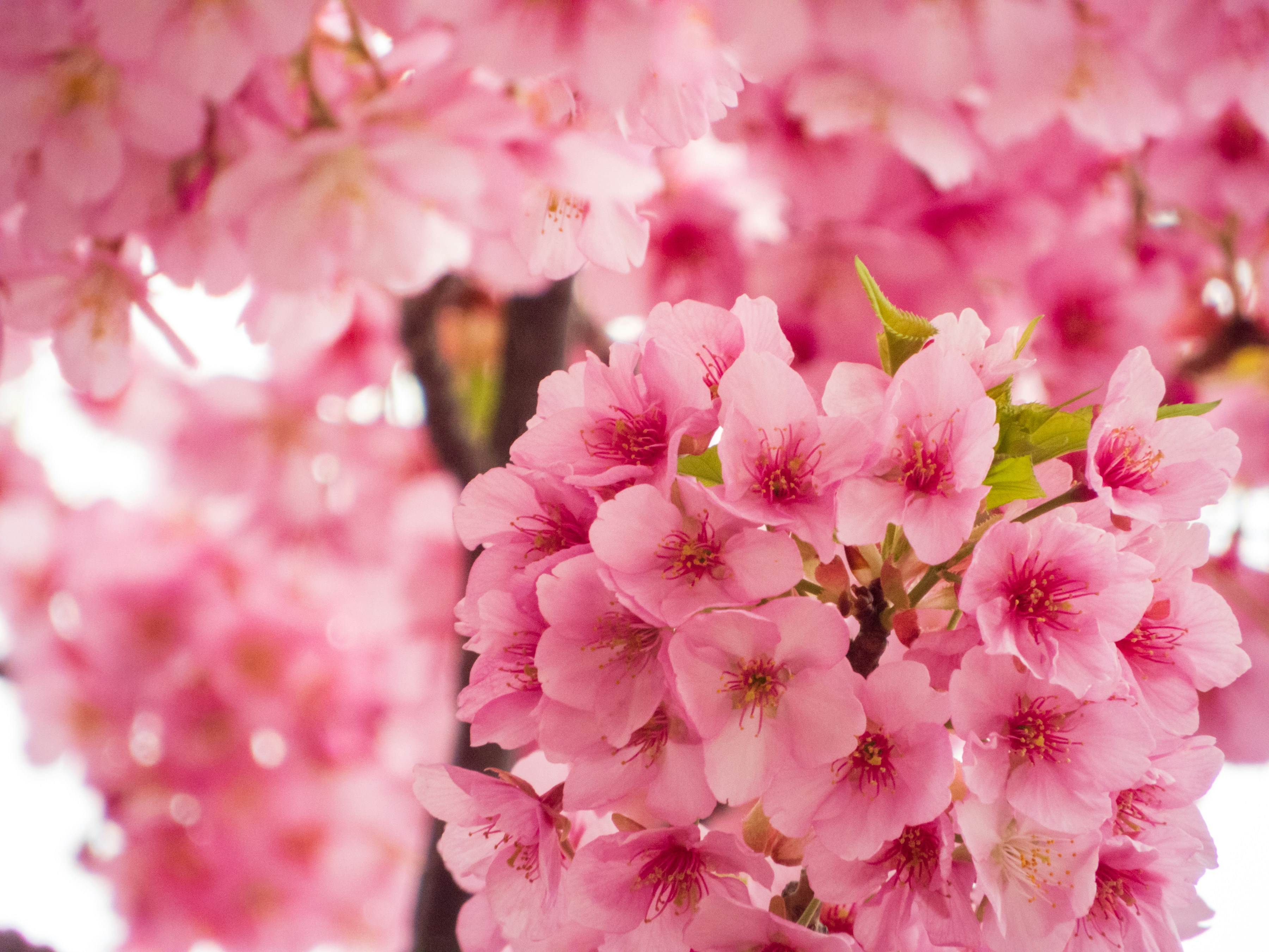 Photo by heppoko_yama