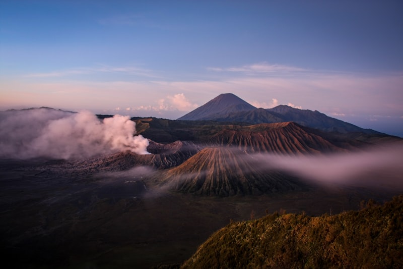 jalur pendakian Gunung Sindoro menembus hutan dan sabana