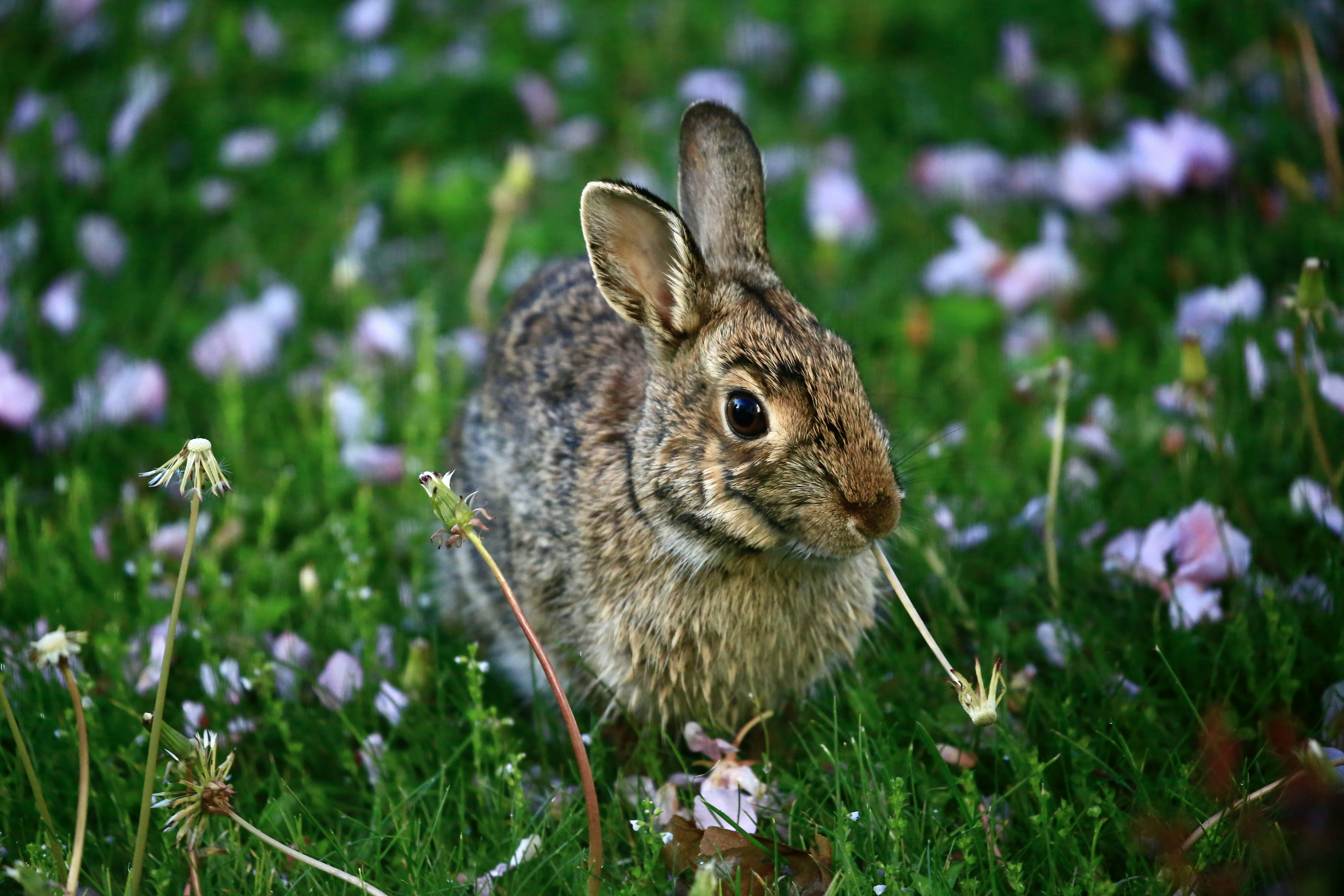 Photo by jackiestevens