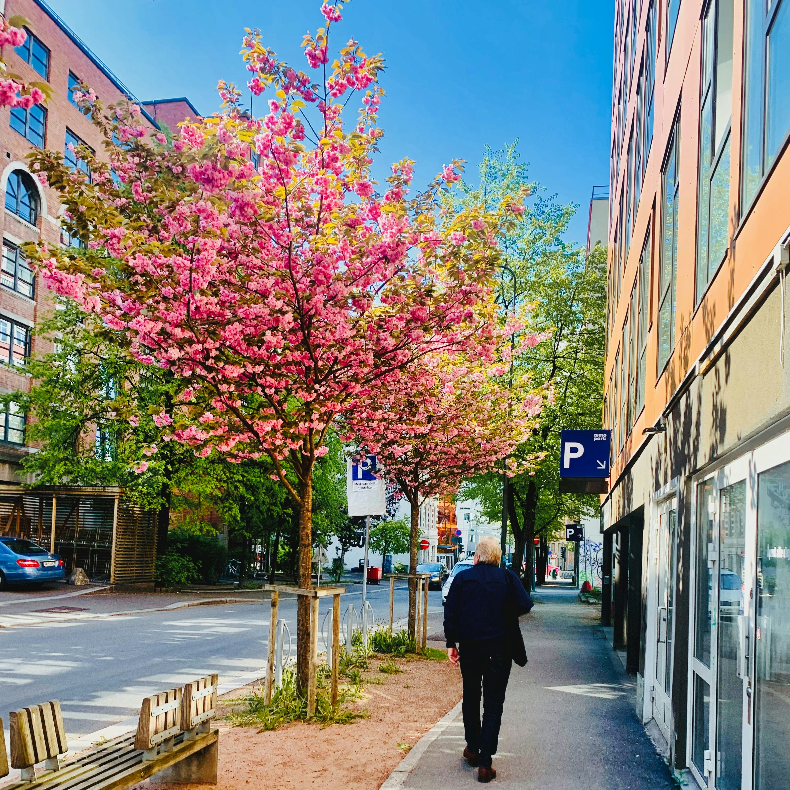 Photo by stevenvandeursen