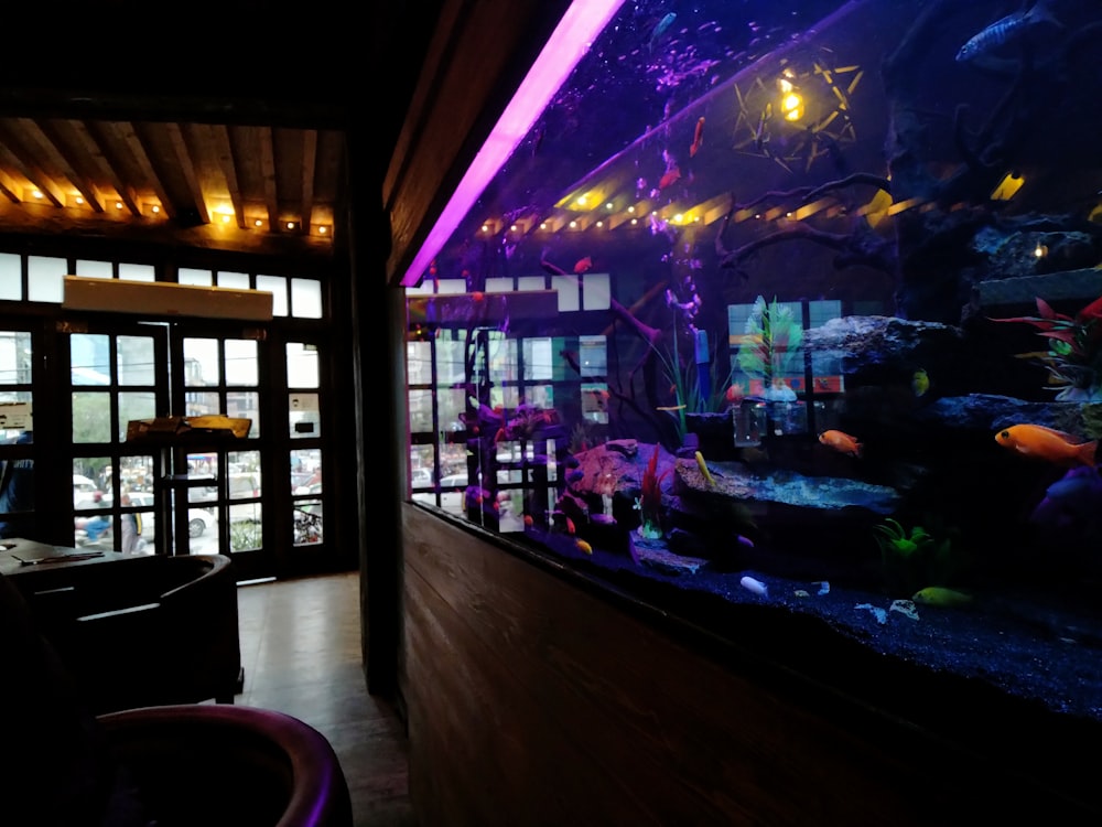 a fish tank in a restaurant with a lot of fish