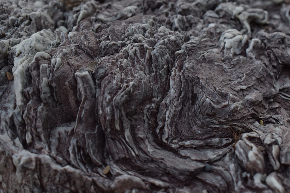 a close up view of a rock formation