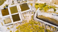 An aerial view of a landscape featuring rectangular ponds filled with water in varying shades. Surrounding the ponds, there is a mixture of sandy and vegetated terrain, with clusters of green-yellow foliage sporadically distributed. The ponds appear organized and possibly man-made.