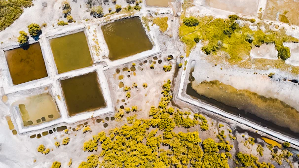 Aerial view of shrimp ponds glistening under the Ecuadorian sun.