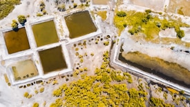 An aerial view of a landscape featuring rectangular ponds filled with water in varying shades. Surrounding the ponds, there is a mixture of sandy and vegetated terrain, with clusters of green-yellow foliage sporadically distributed. The ponds appear organized and possibly man-made.