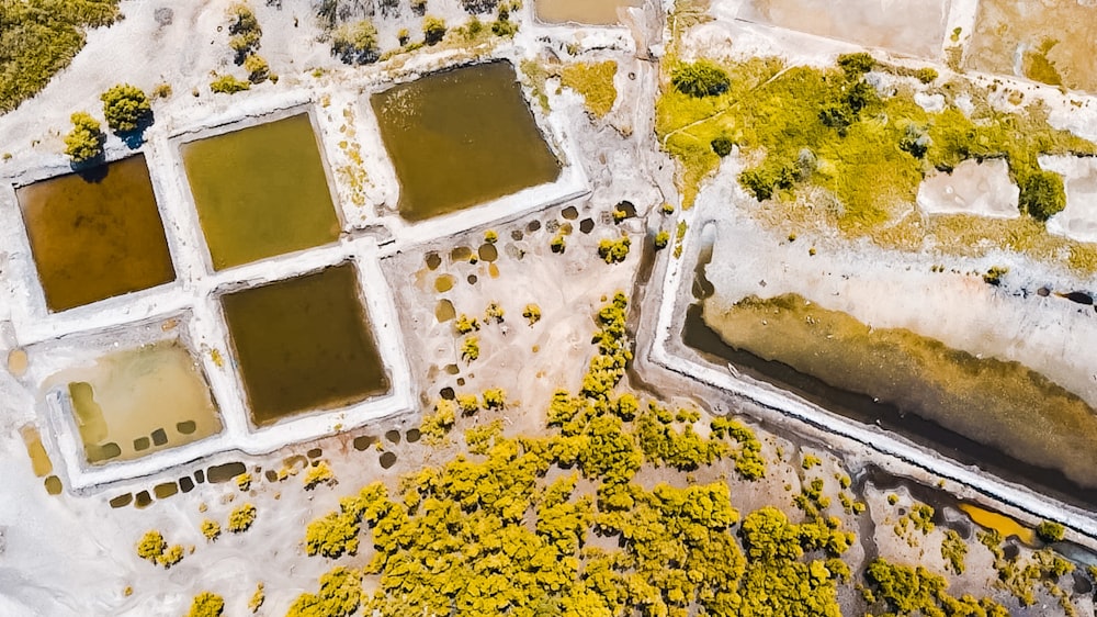 an aerial view of a pond surrounded by trees