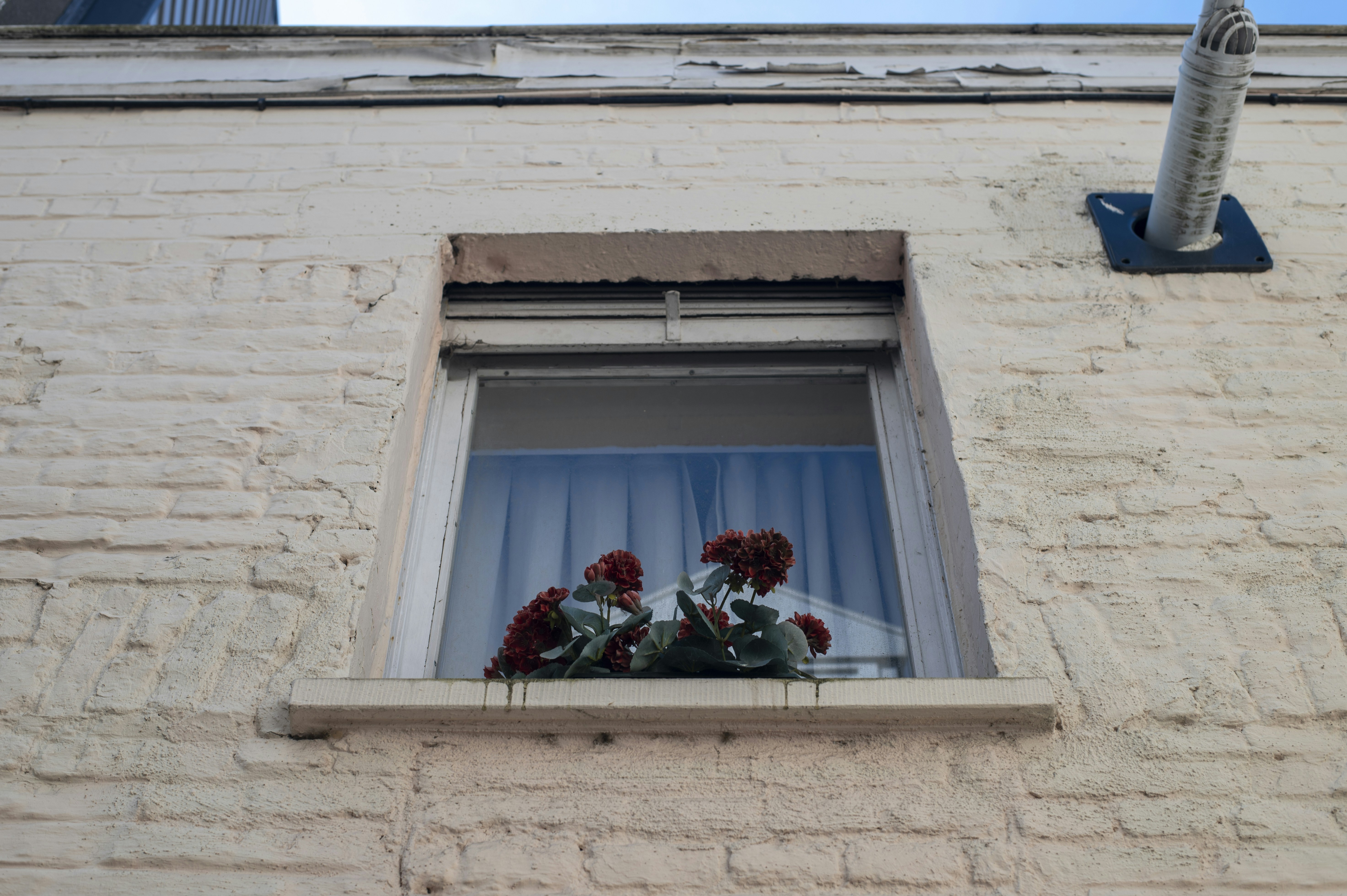 Professional installing window film on residential window