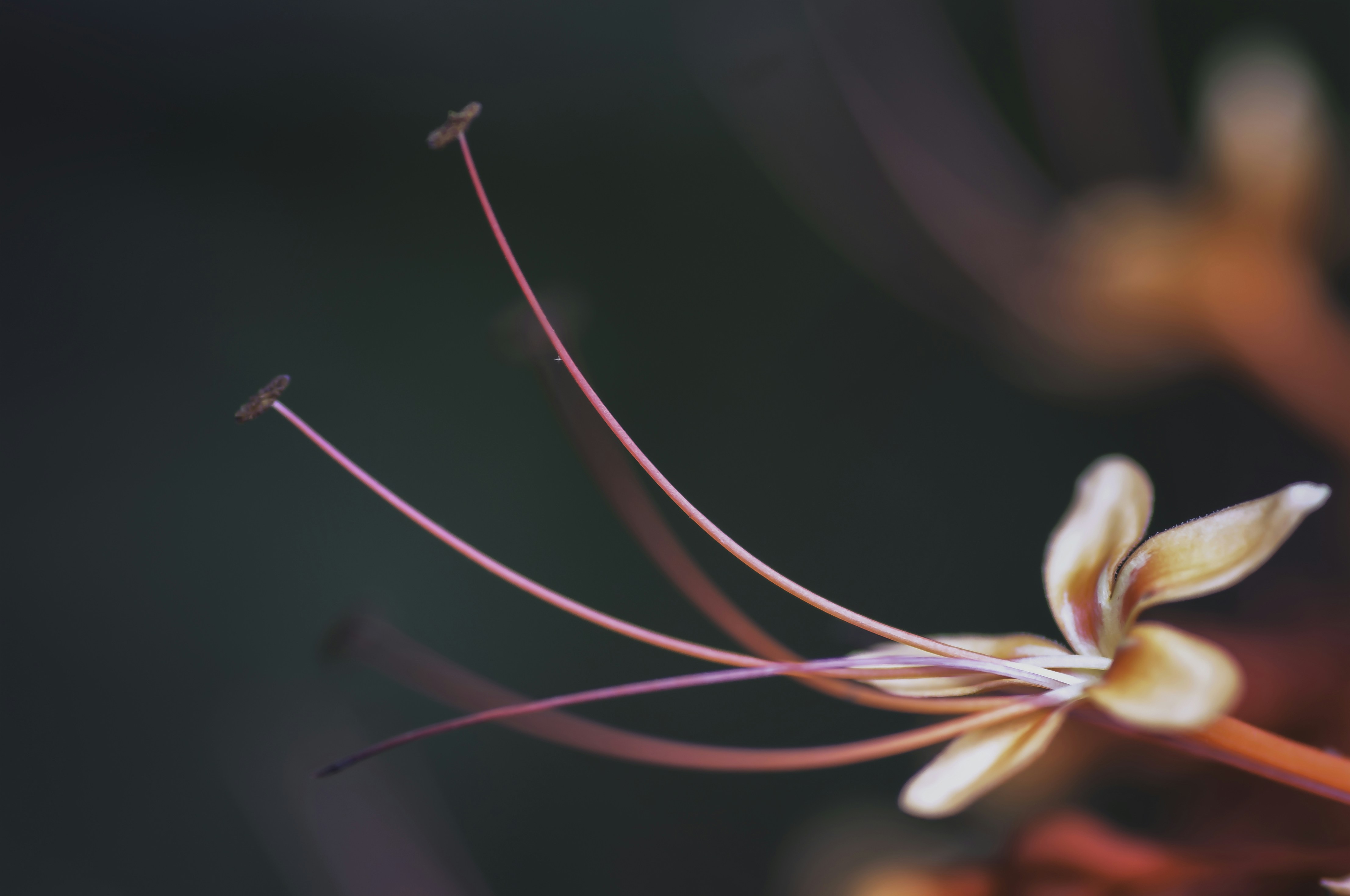 Photo by thom_oxford