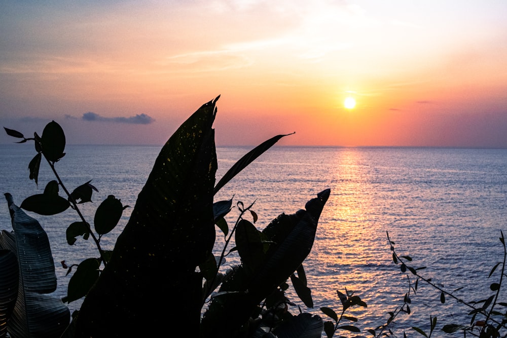 the sun is setting over a body of water