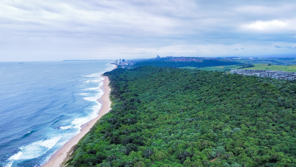 an aerial view of a lush green forest next to the ocean
