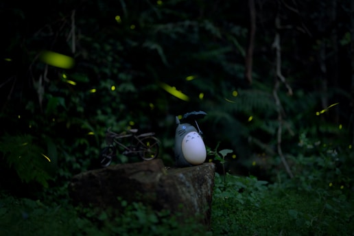 a bird sitting on top of a rock in a forest