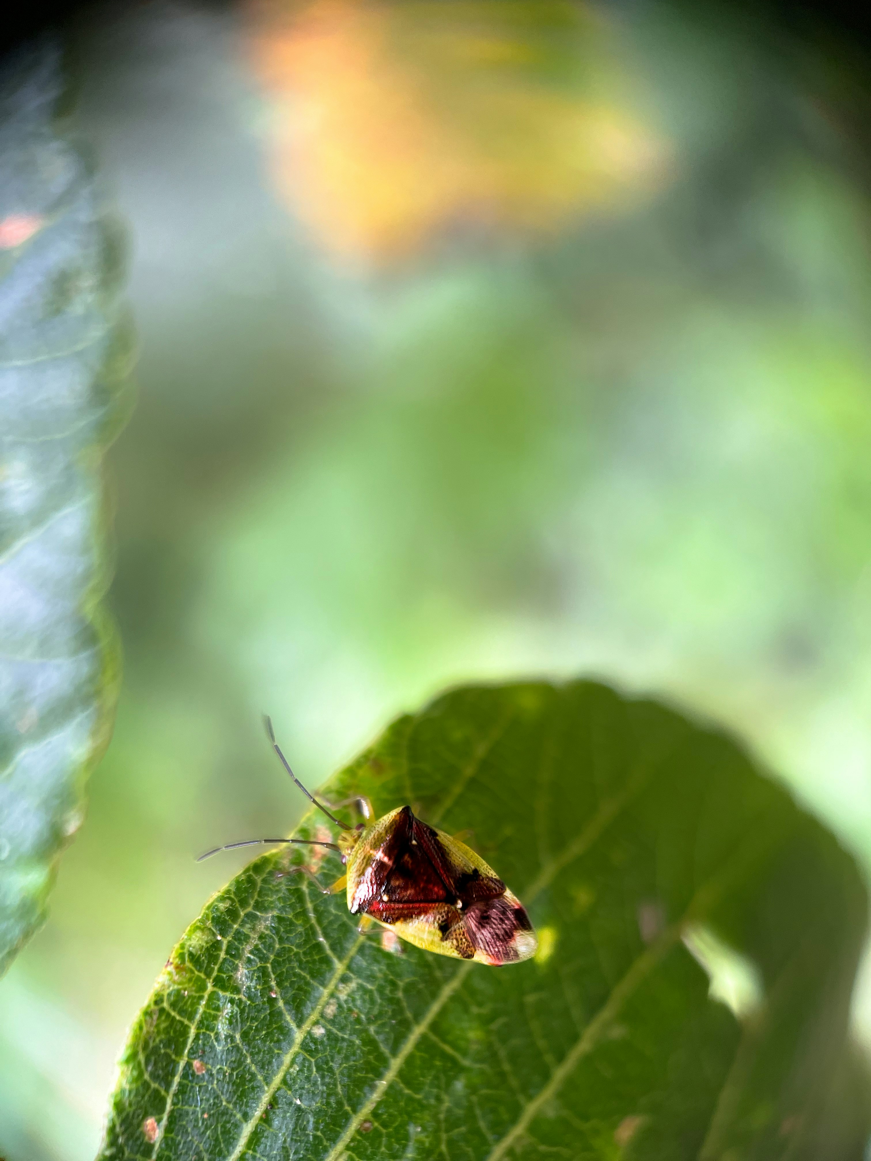 Photo by goodfunlover