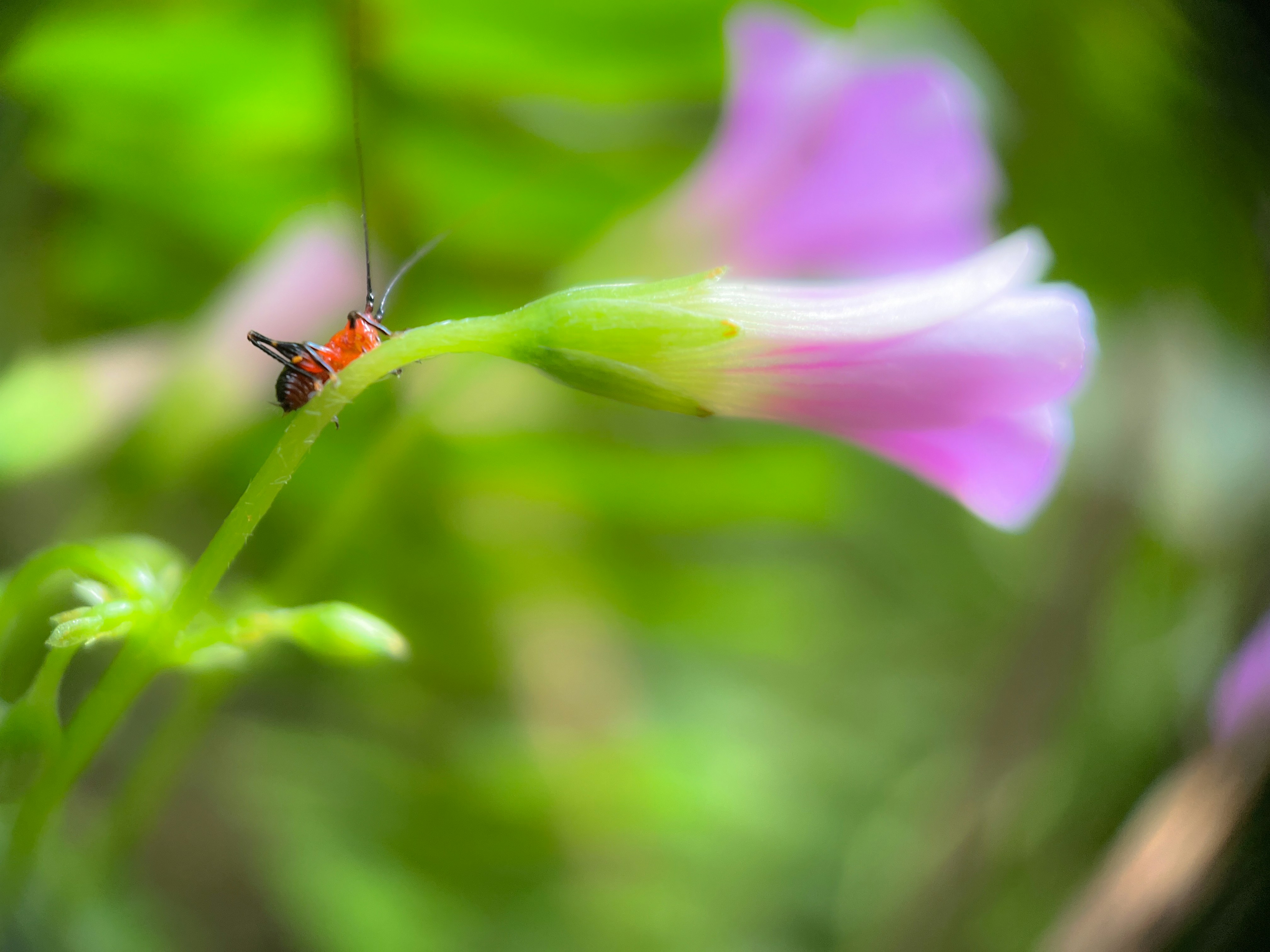 Photo by goodfunlover