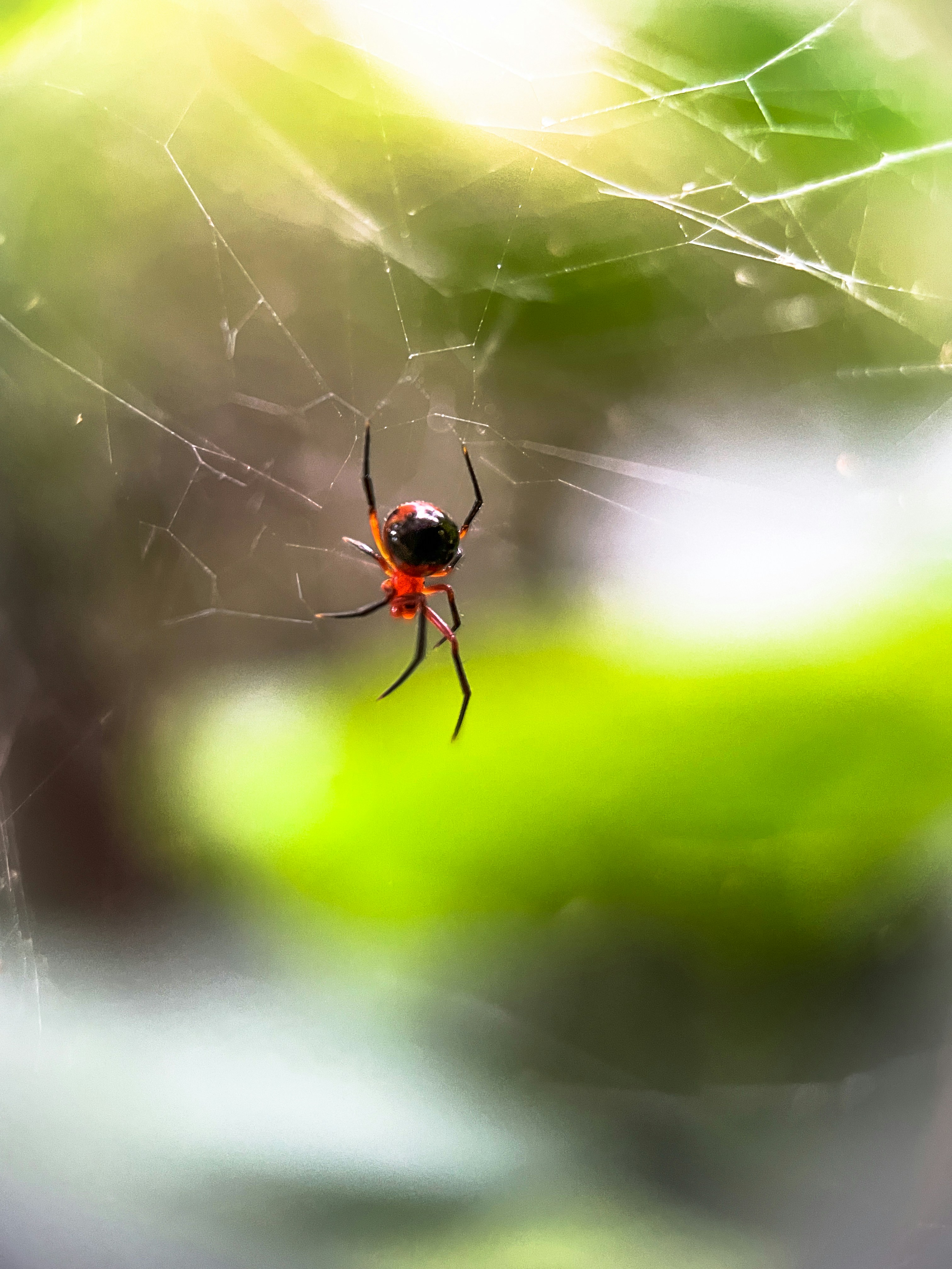 Photo by goodfunlover