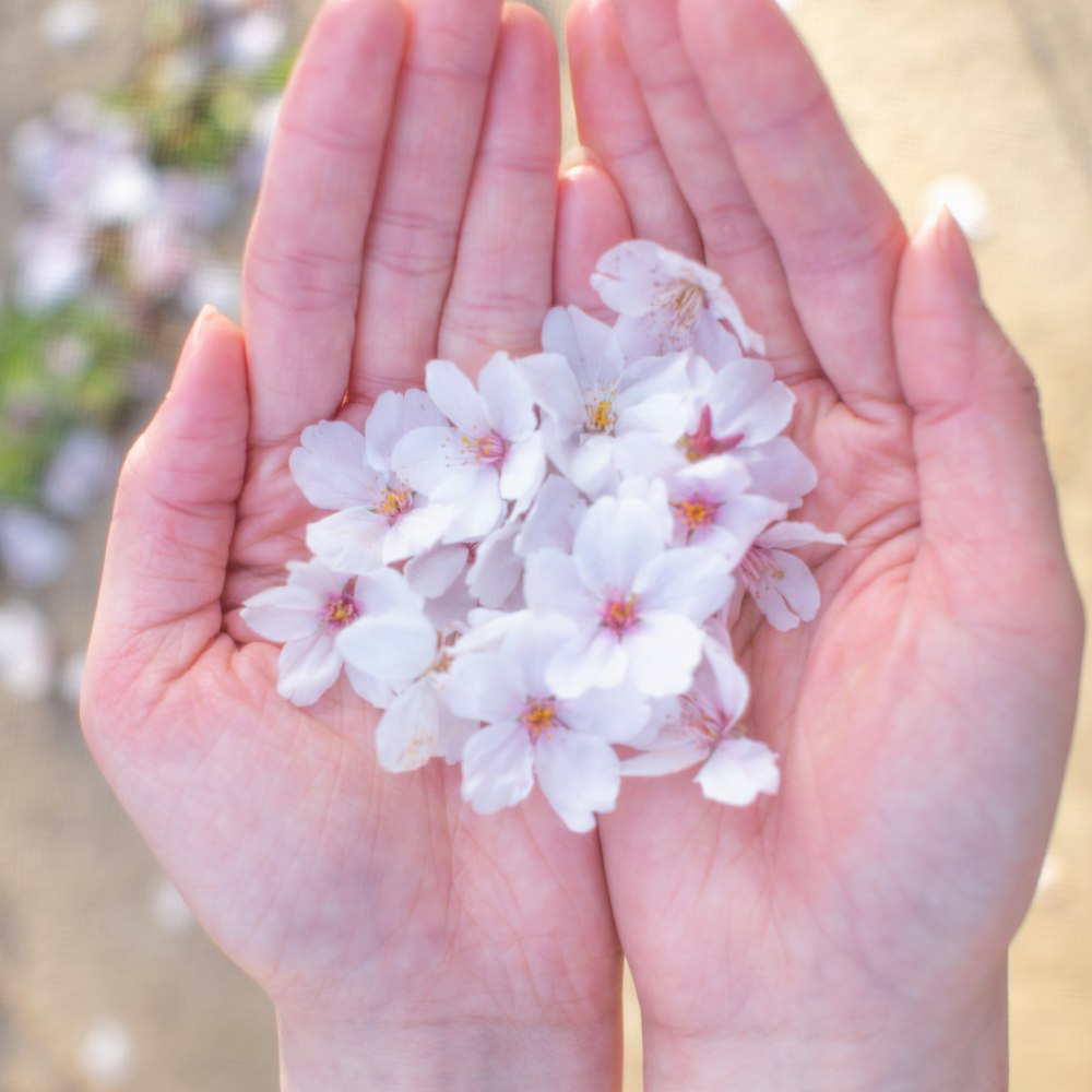 a person holding a bunch of flowers in their hands