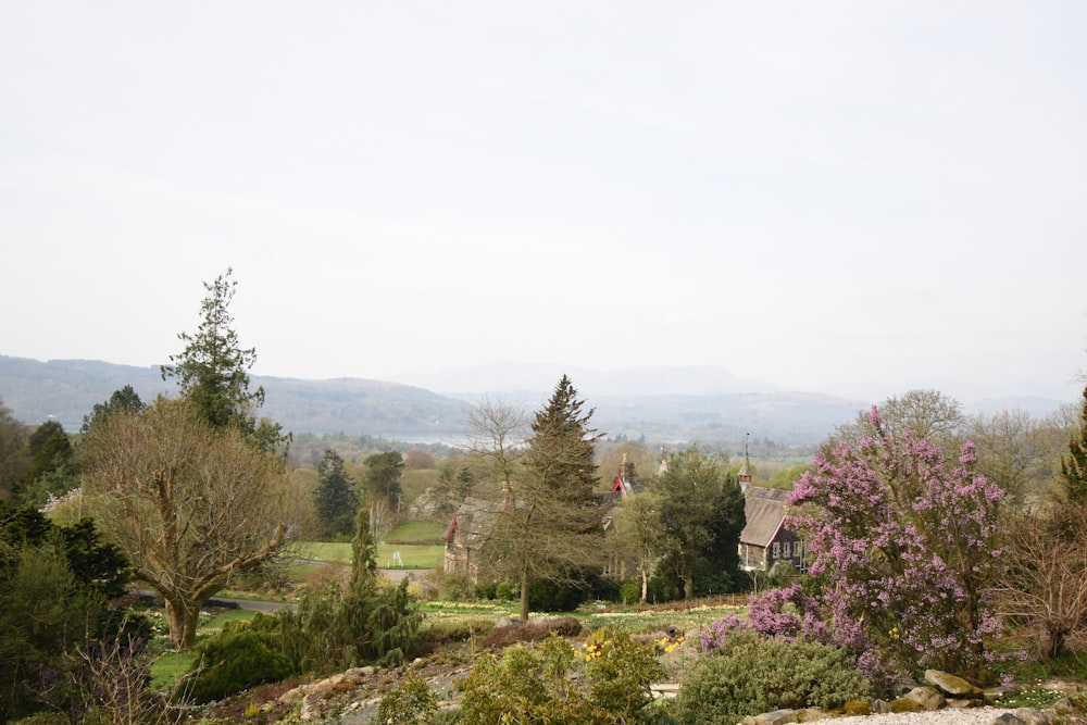 a lush green hillside with a house in the distance