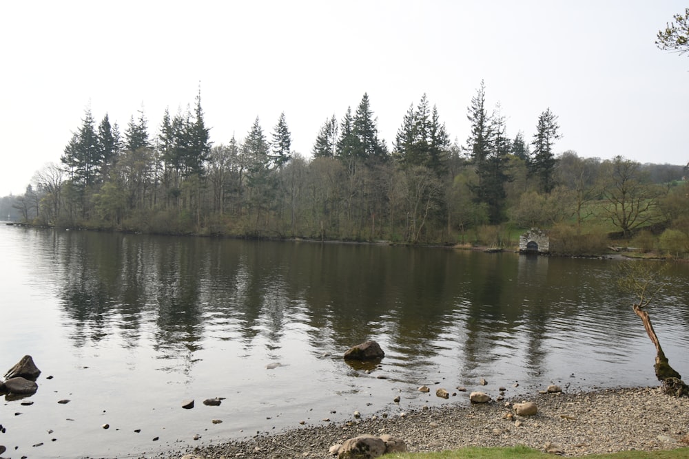 a body of water surrounded by trees and rocks