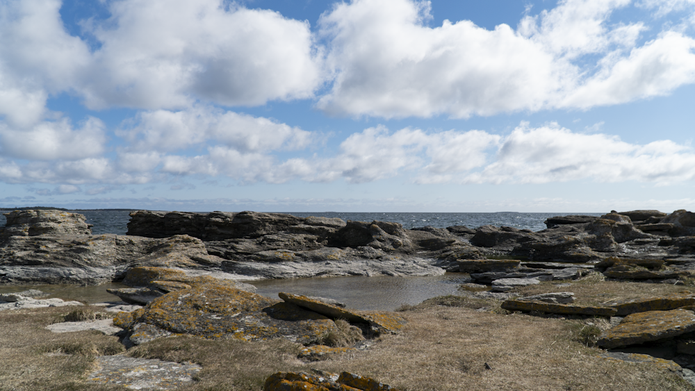 a rocky shore with a body of water in the distance